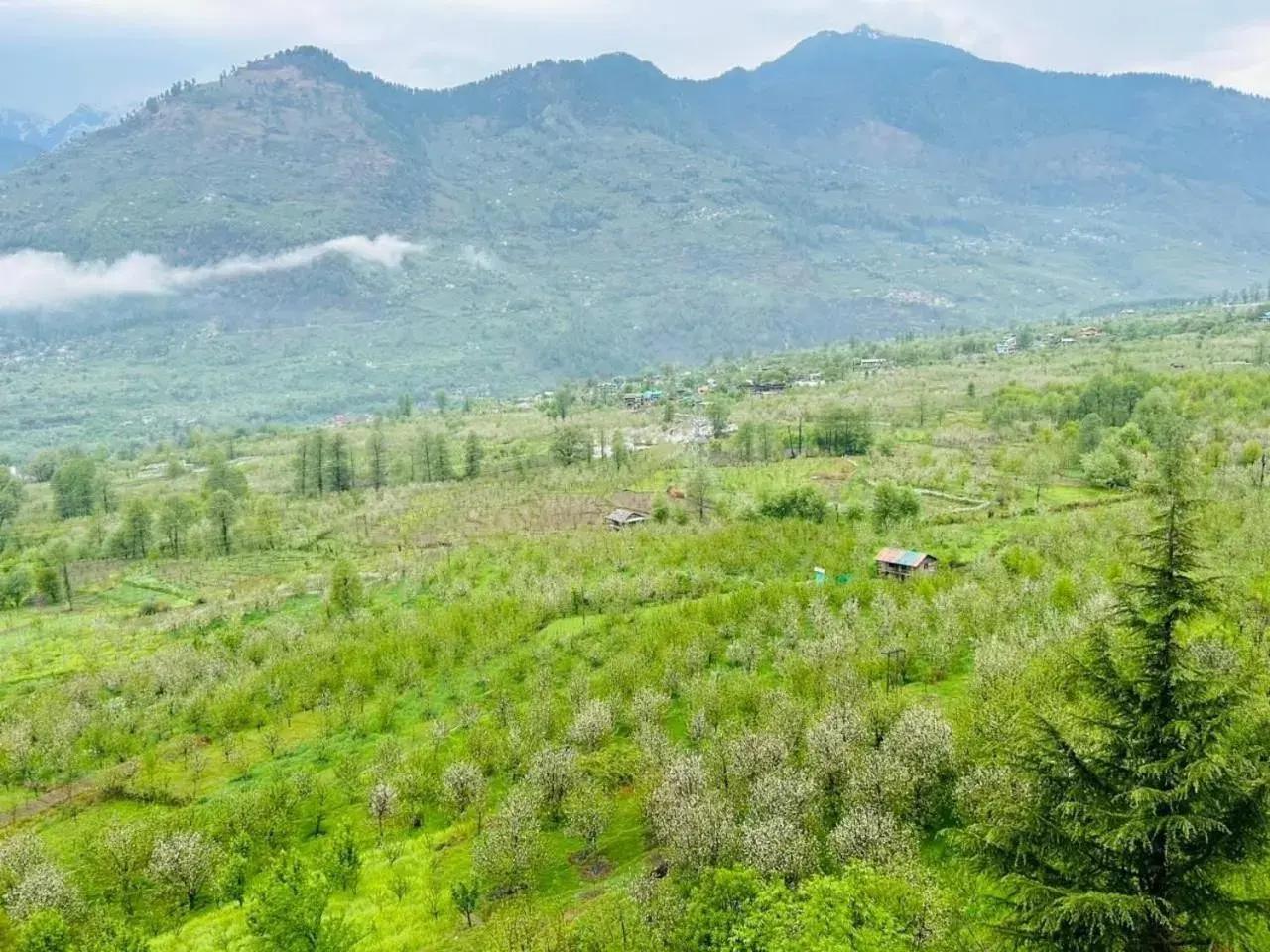 Mountain view in Snow Crest Residency - A Pure Veg Hotel Mountain view in Snow Crest Residency - A Pure Veg Hotel