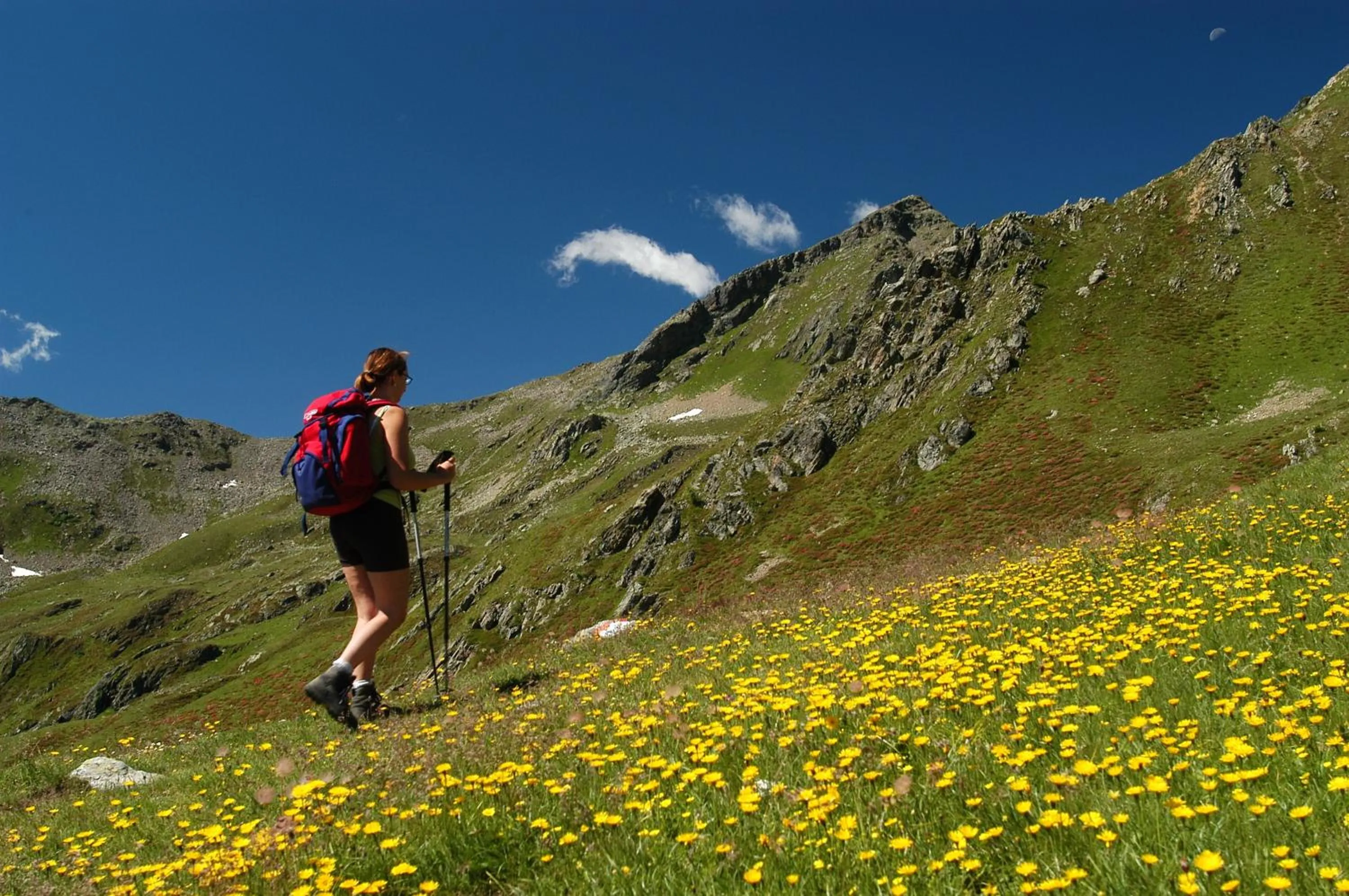 Spring in Casa Nembia