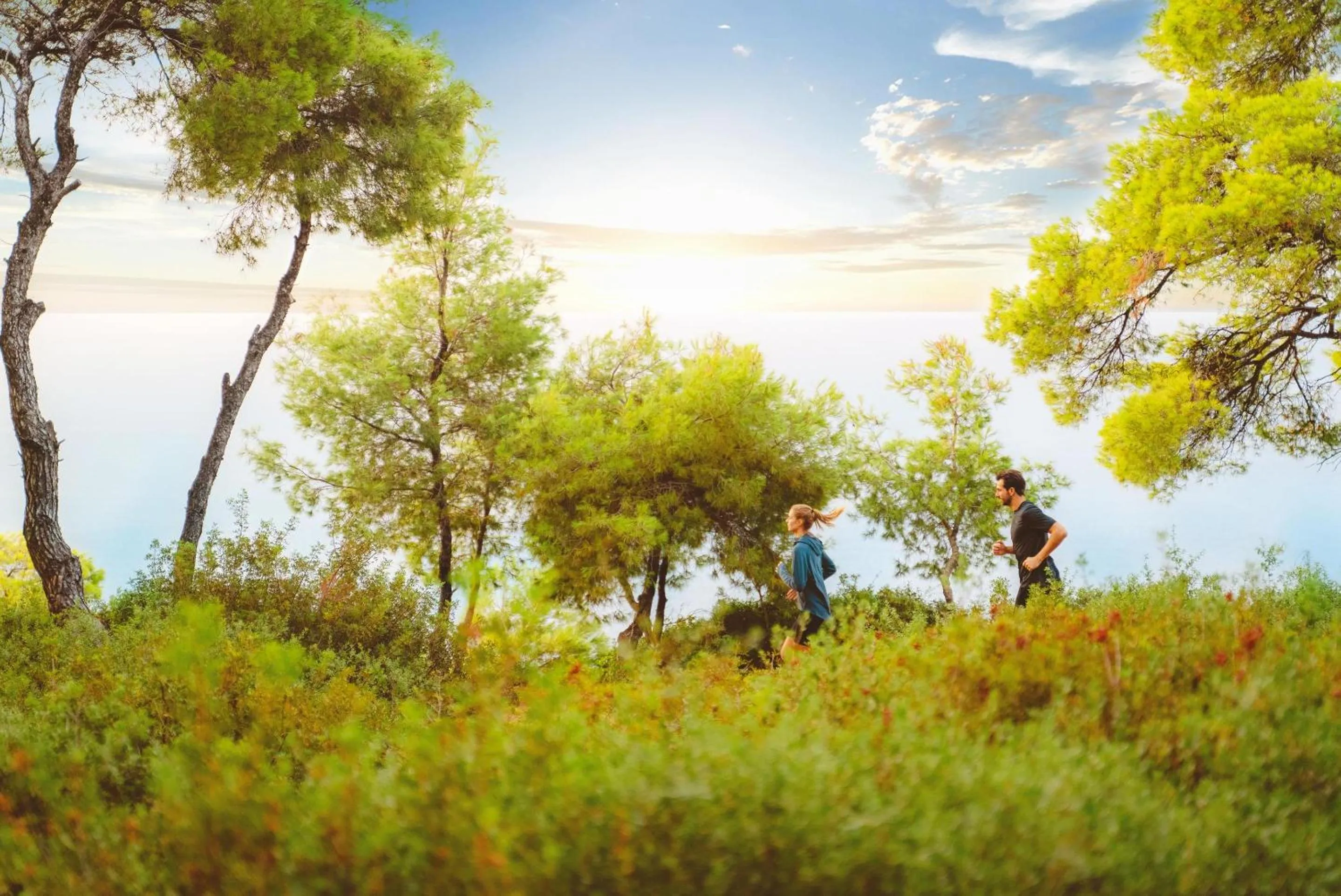 Activities in Sani Beach