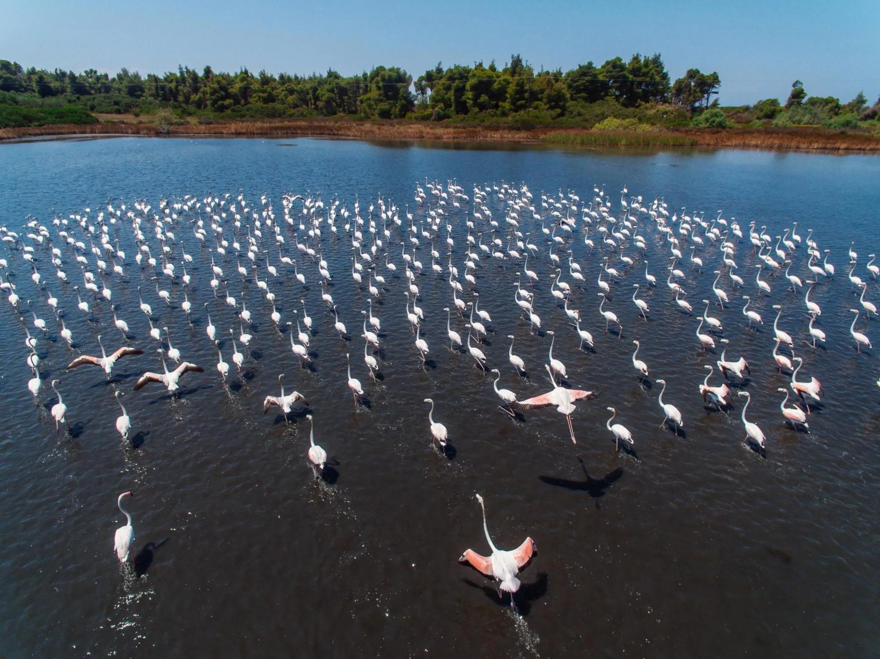 Natural landscape in Sani Beach