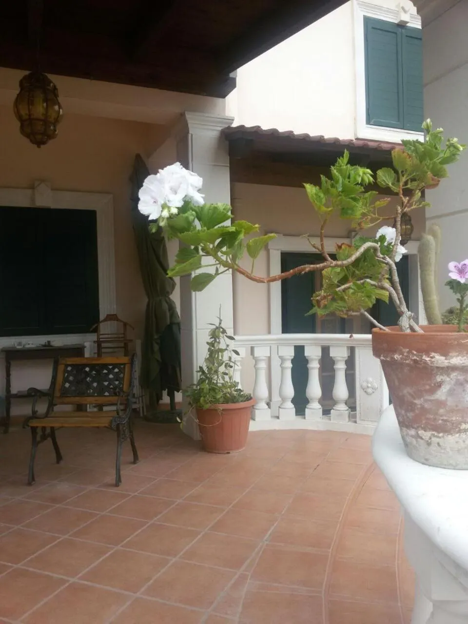 Property building in L'Arca