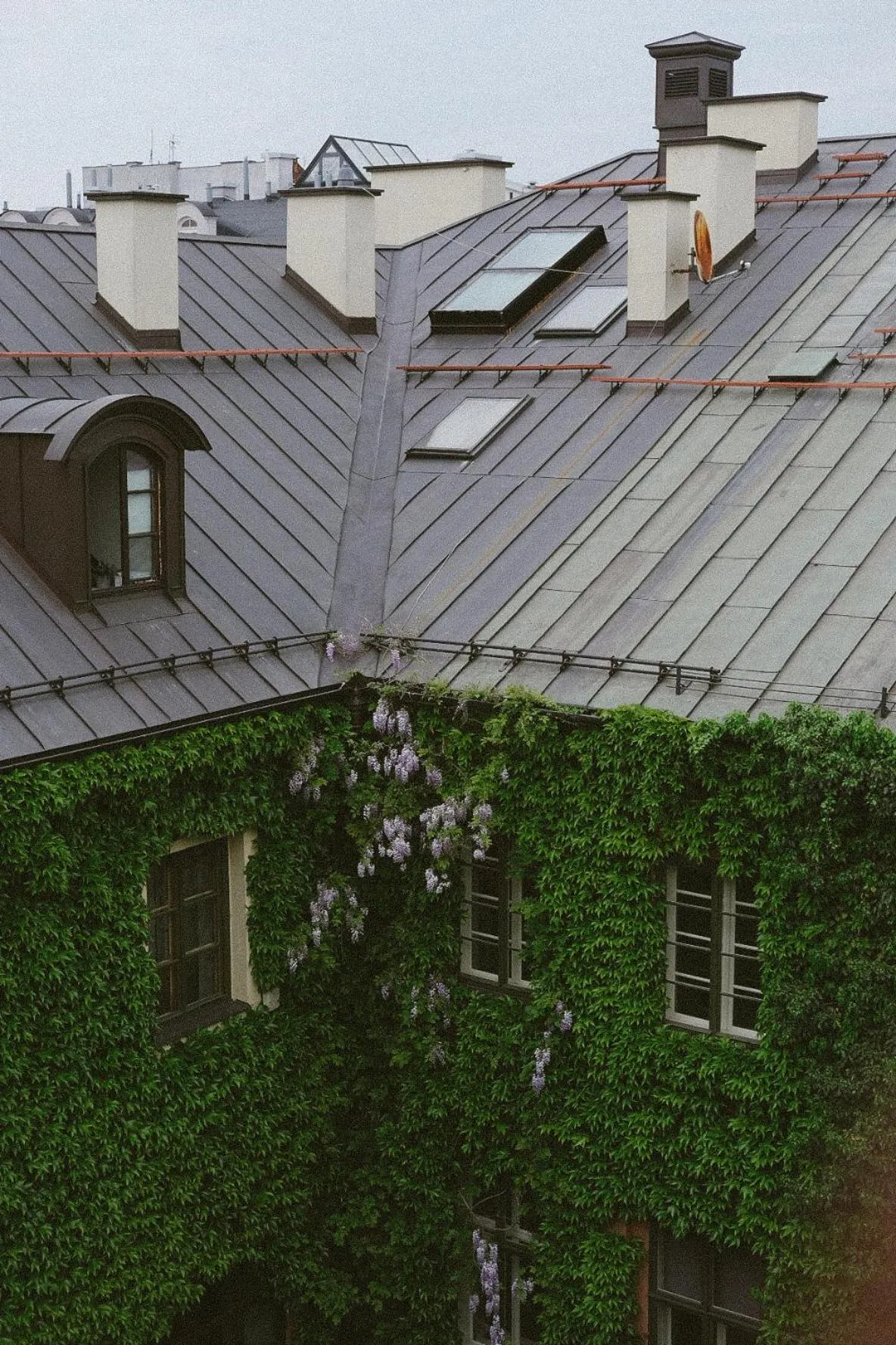 View (from property/room) in Too-Good Apartments