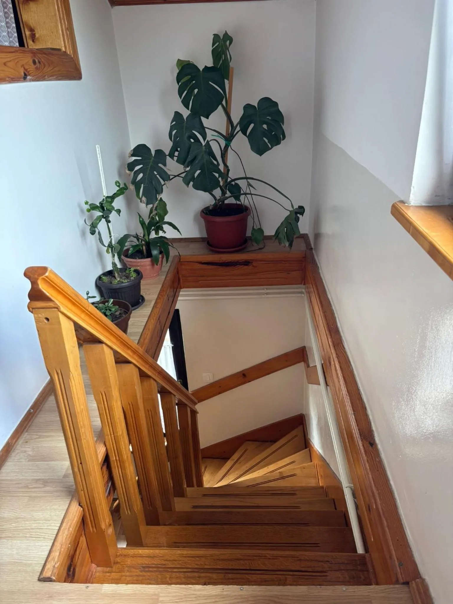Apartment Jelena
