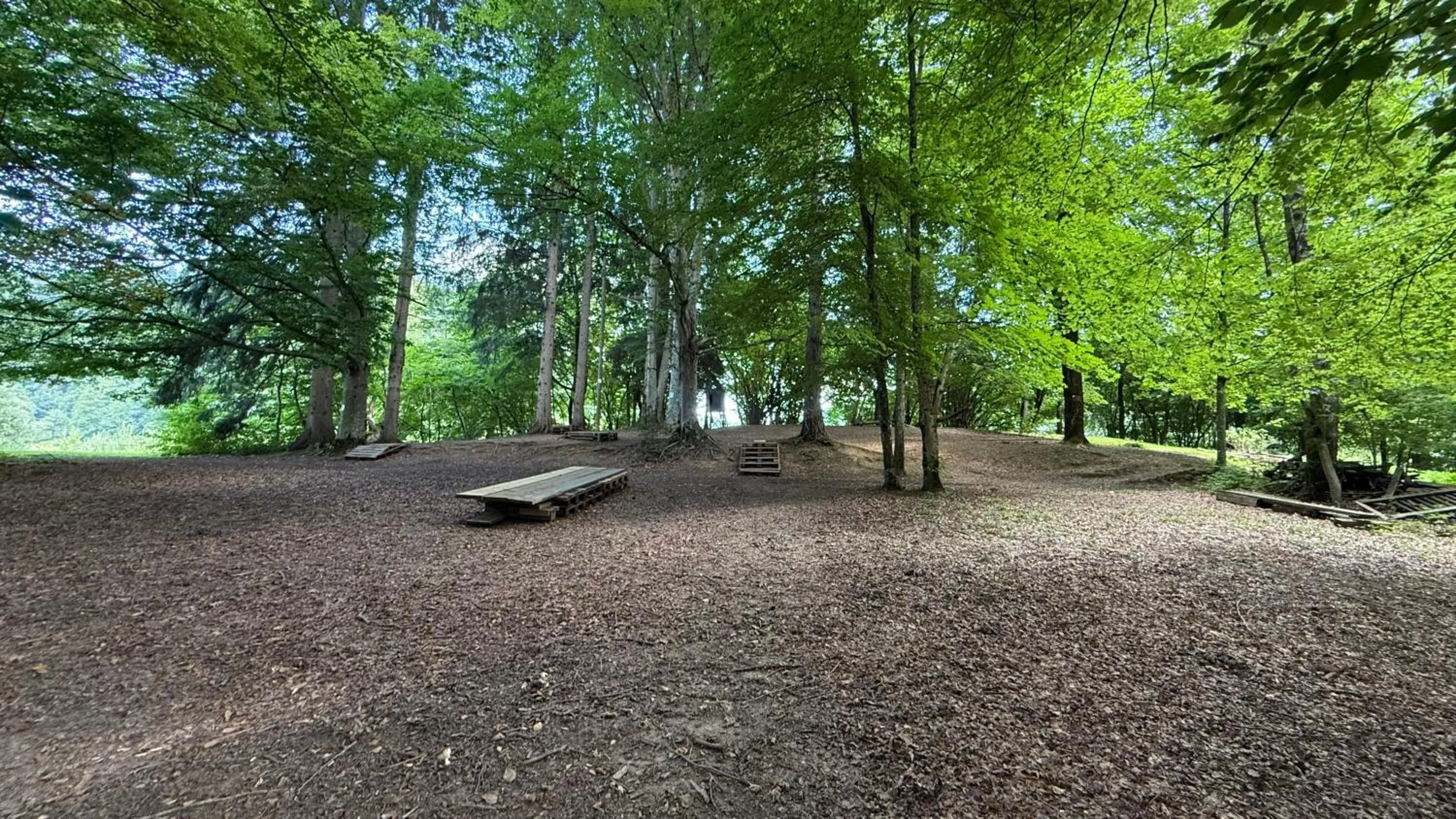 Natural landscape in Botenwirt - Self Check in