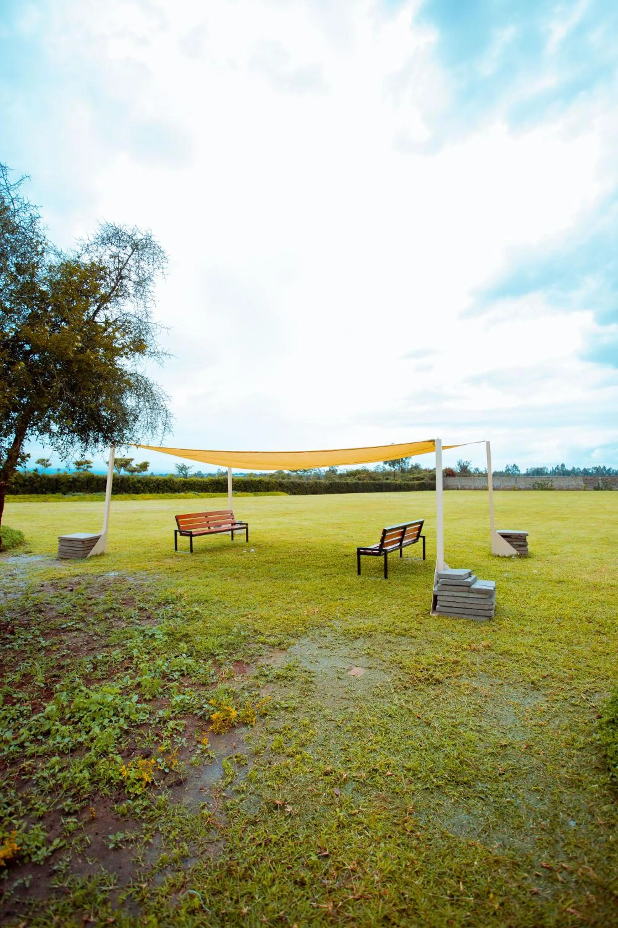 Phelgone Nanyuki