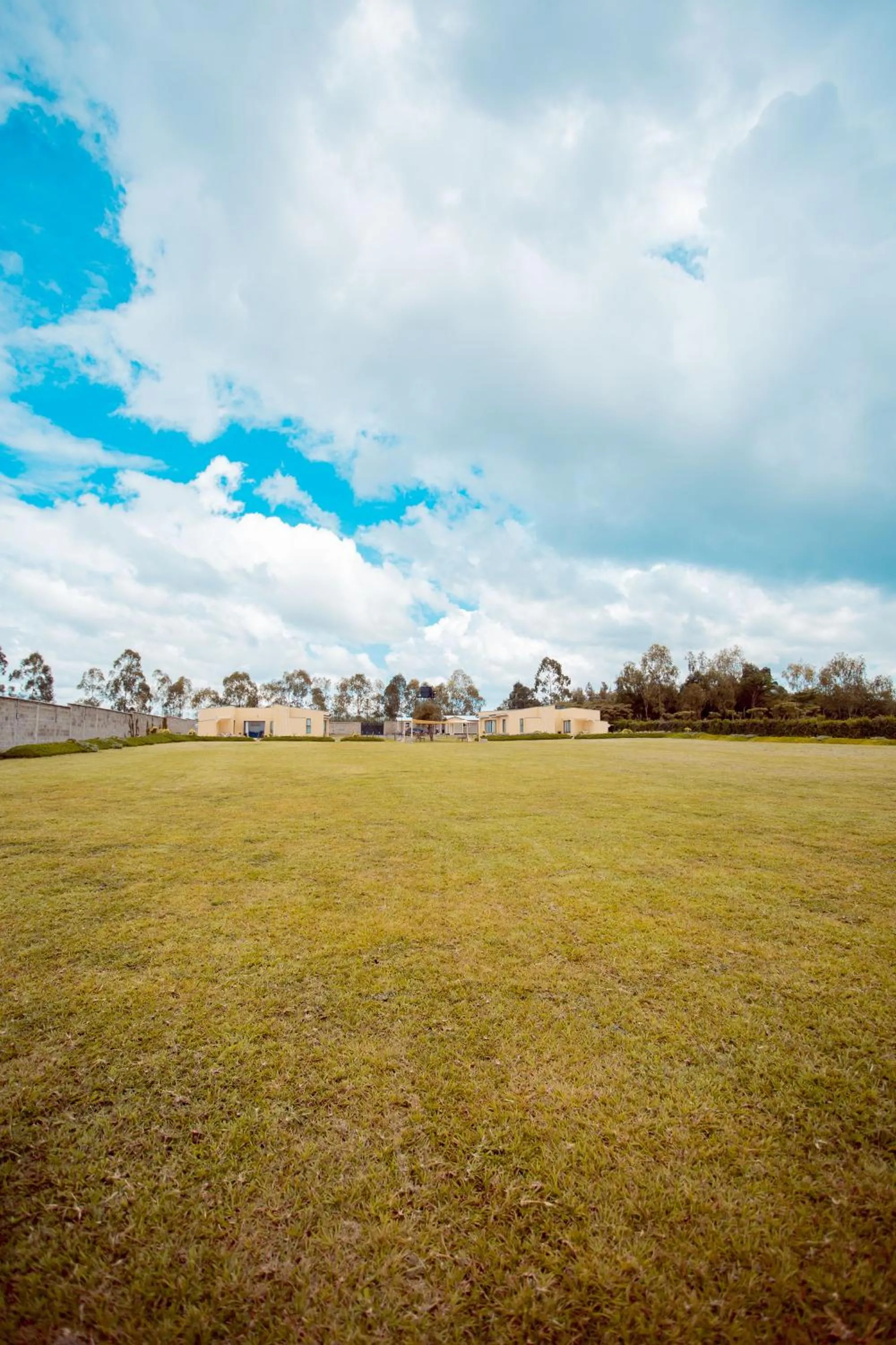Phelgone Nanyuki