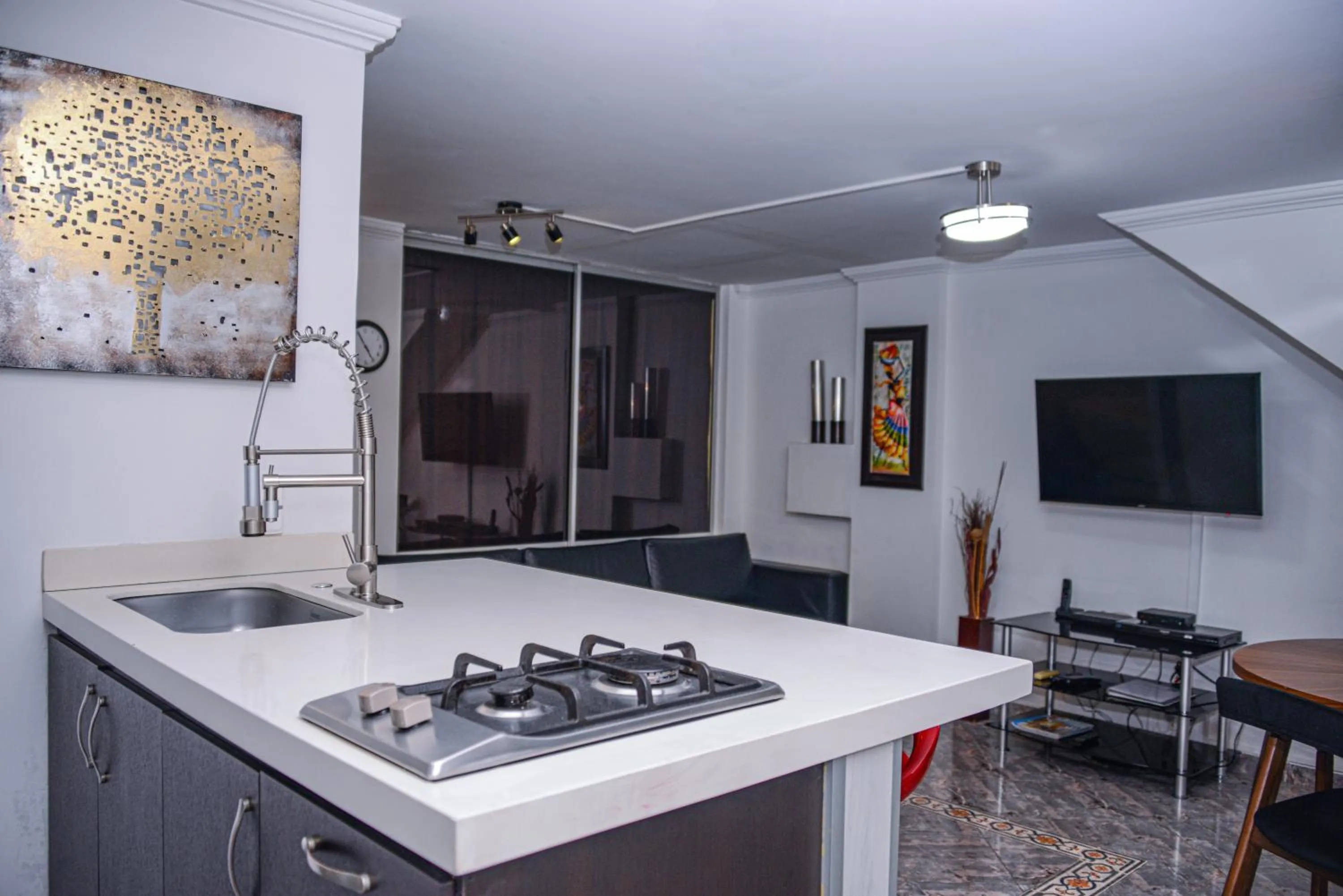Apartment Carrera 301