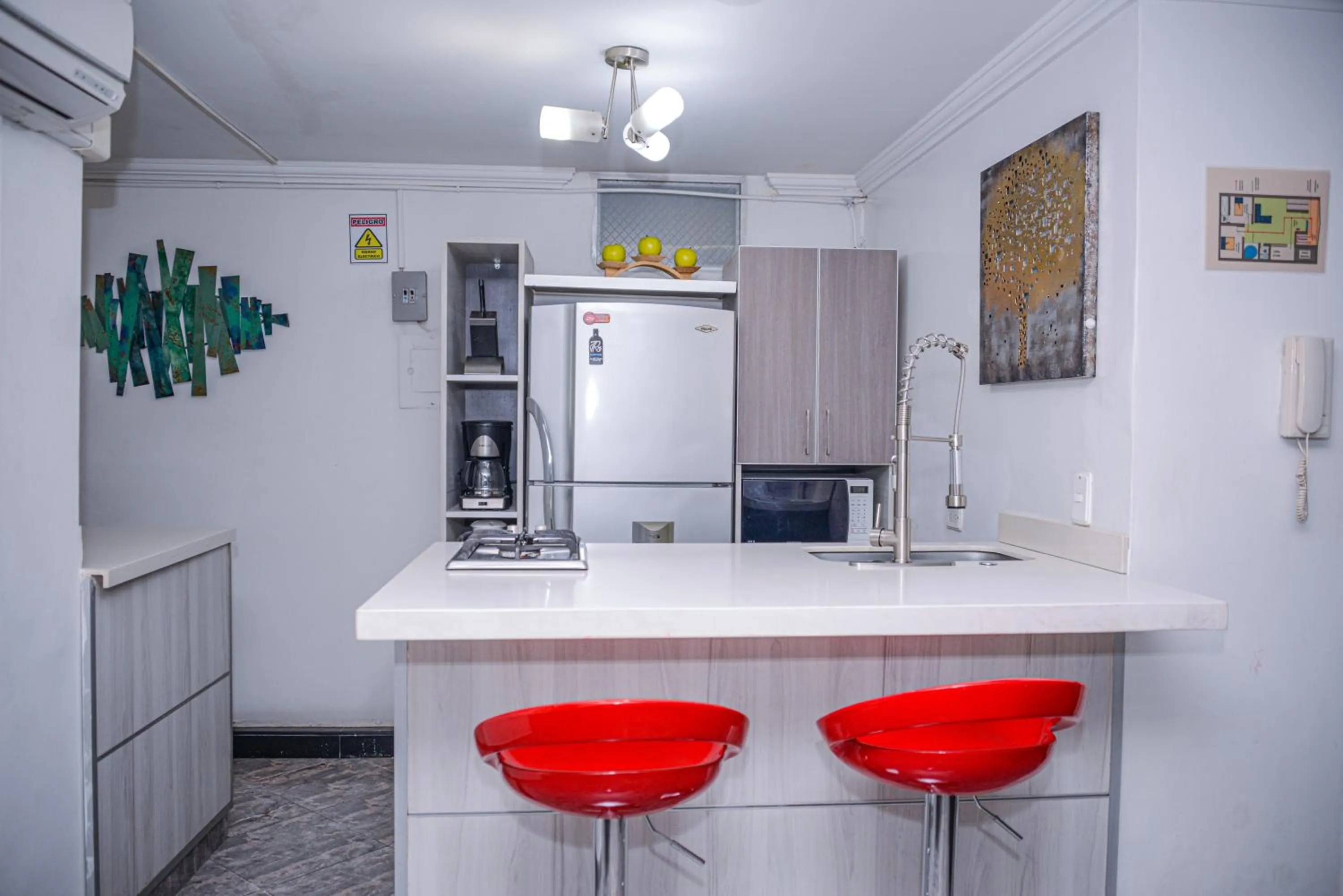 Apartment Carrera 301