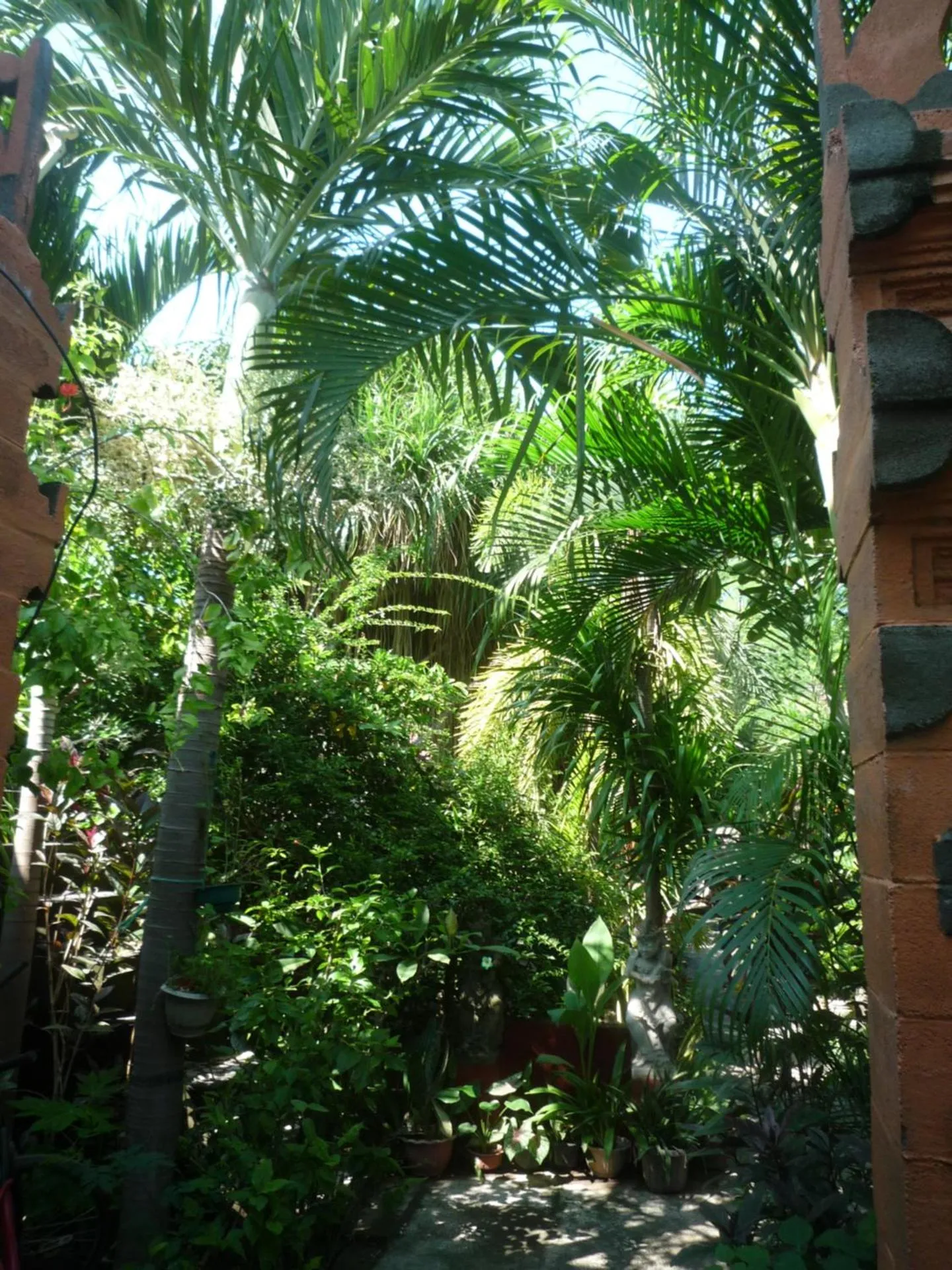 Balcony/Terrace in Gili Nyepi
