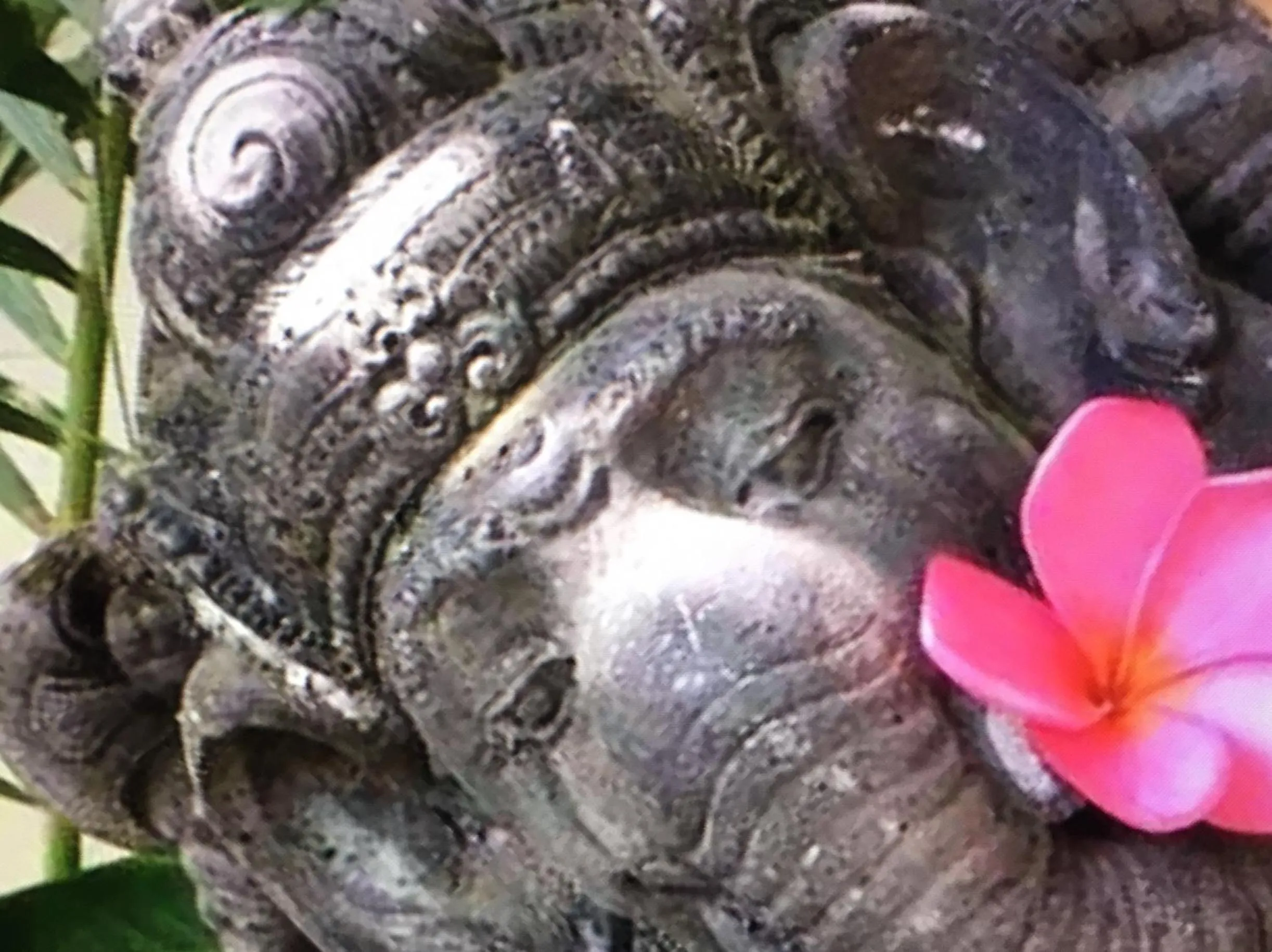 View (from property/room) in Gili Nyepi