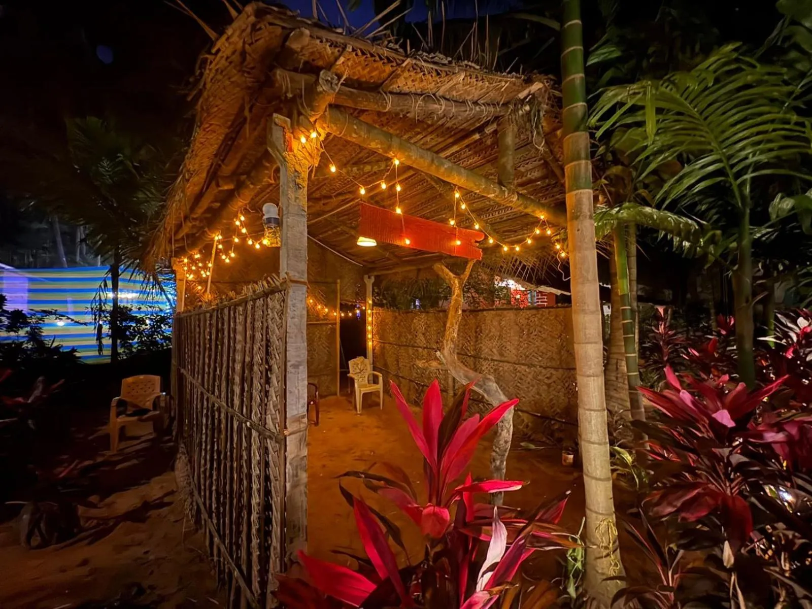 Night in Areca Nest