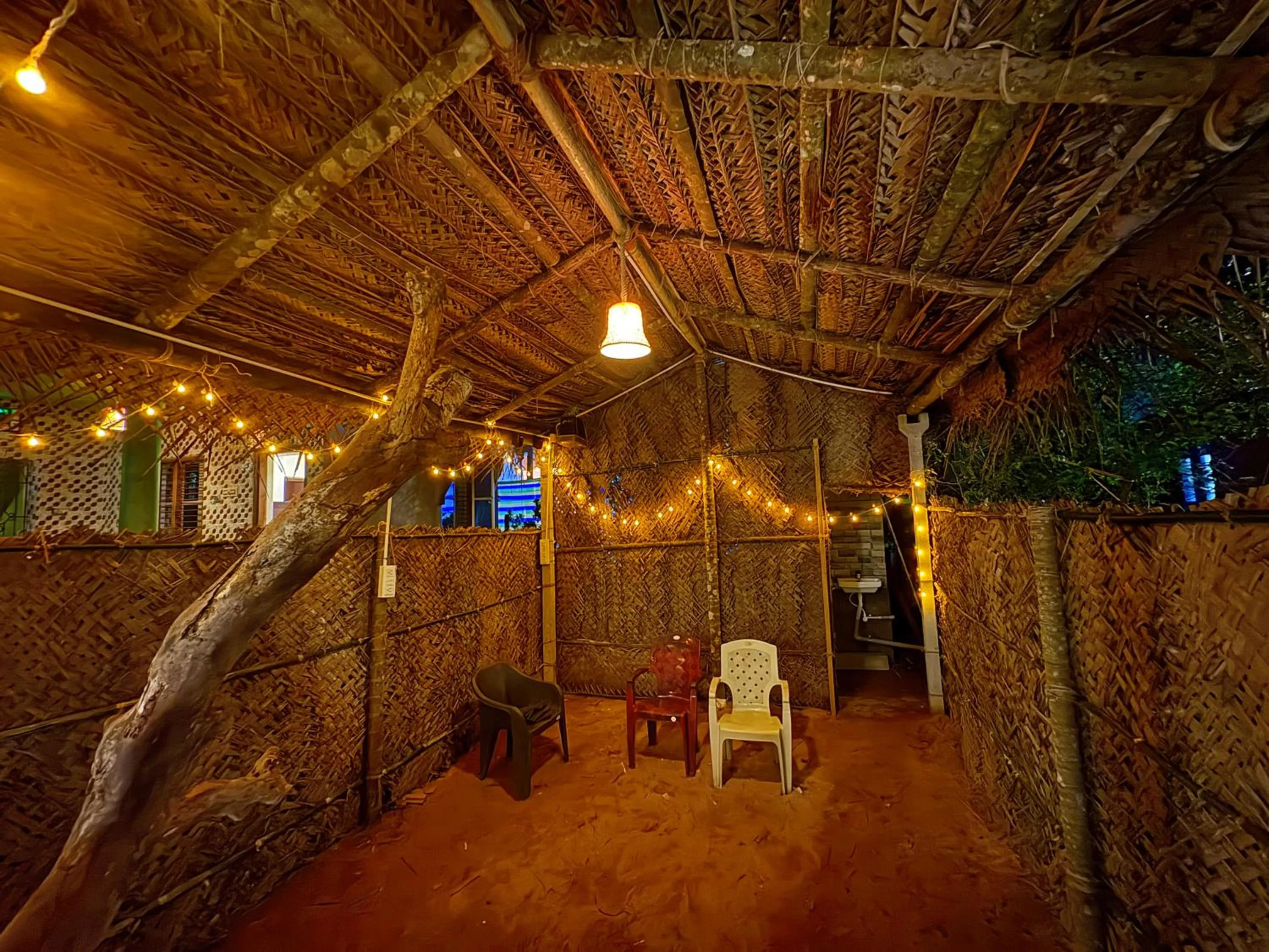 Night in Areca Nest