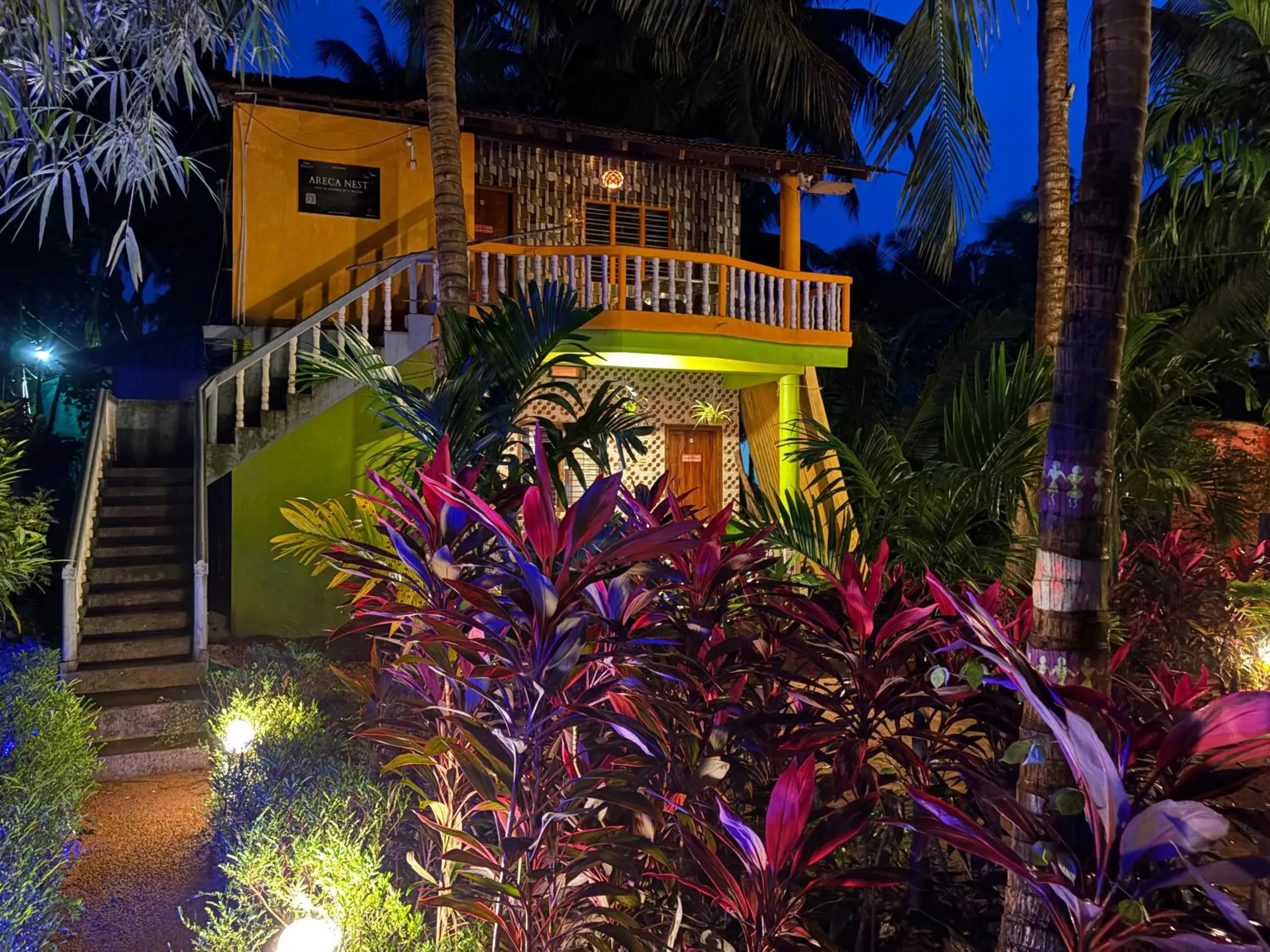 Areca Nest Areca Nest