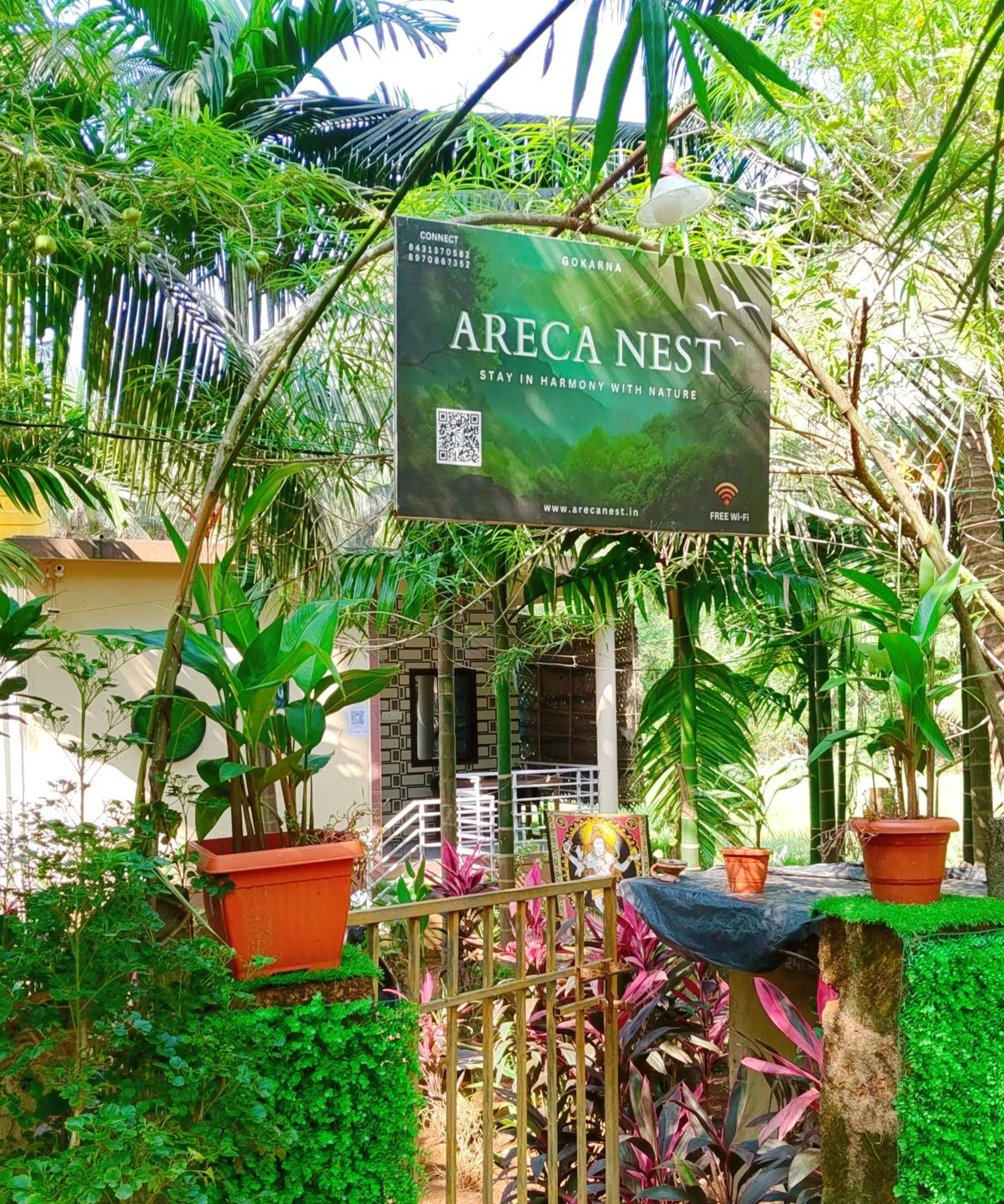 Natural landscape in Areca Nest