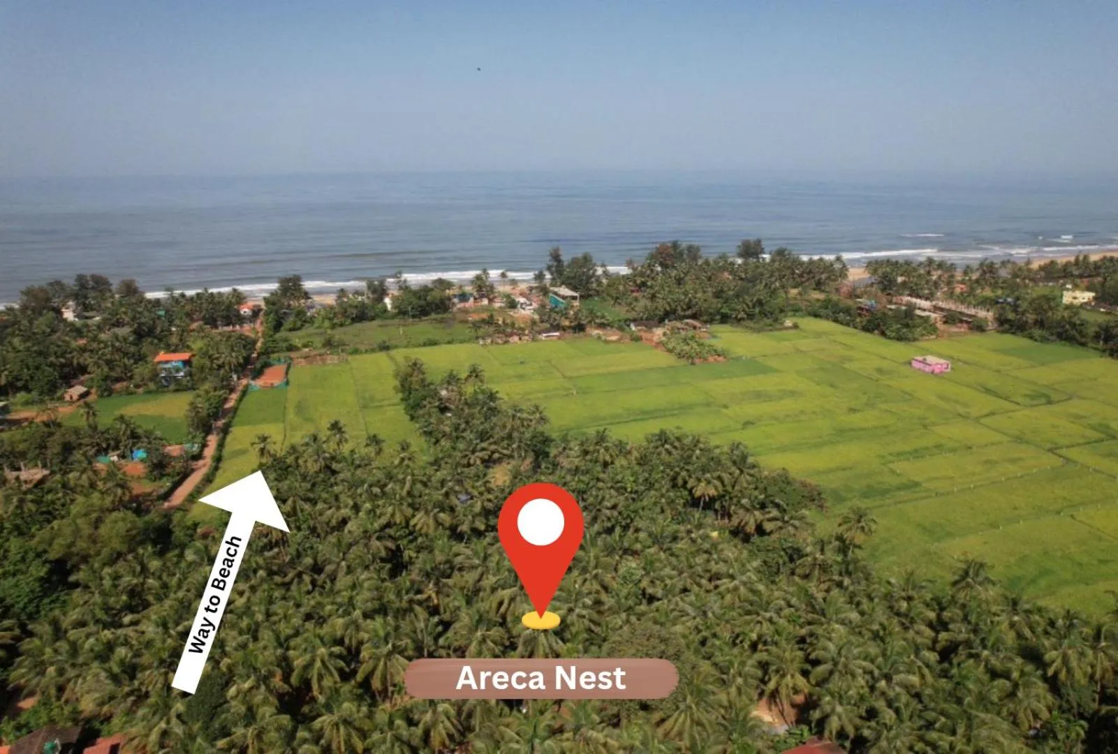 Bird's eye view in Areca Nest