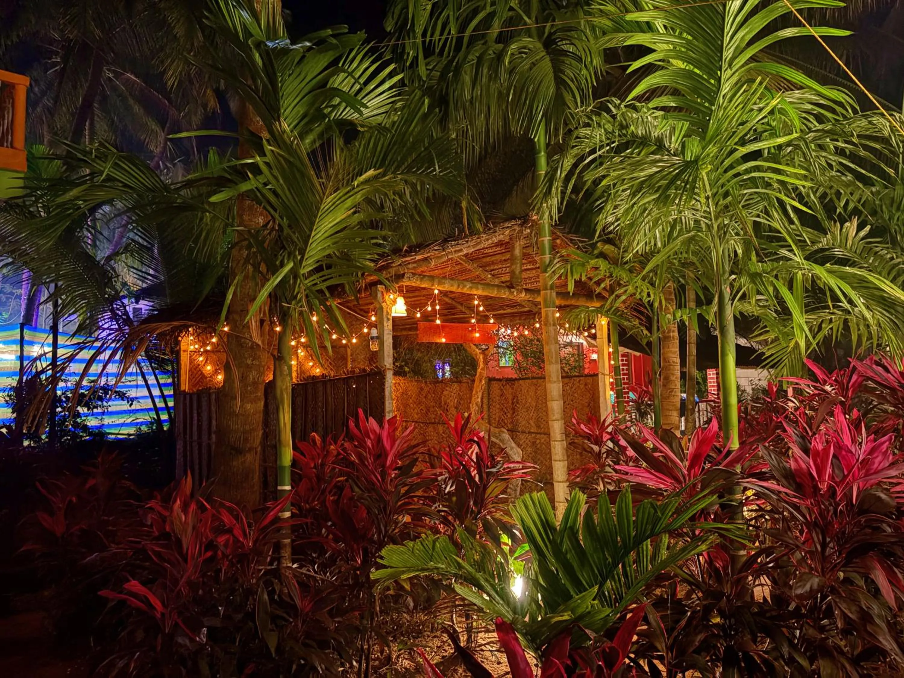 Natural landscape in Areca Nest