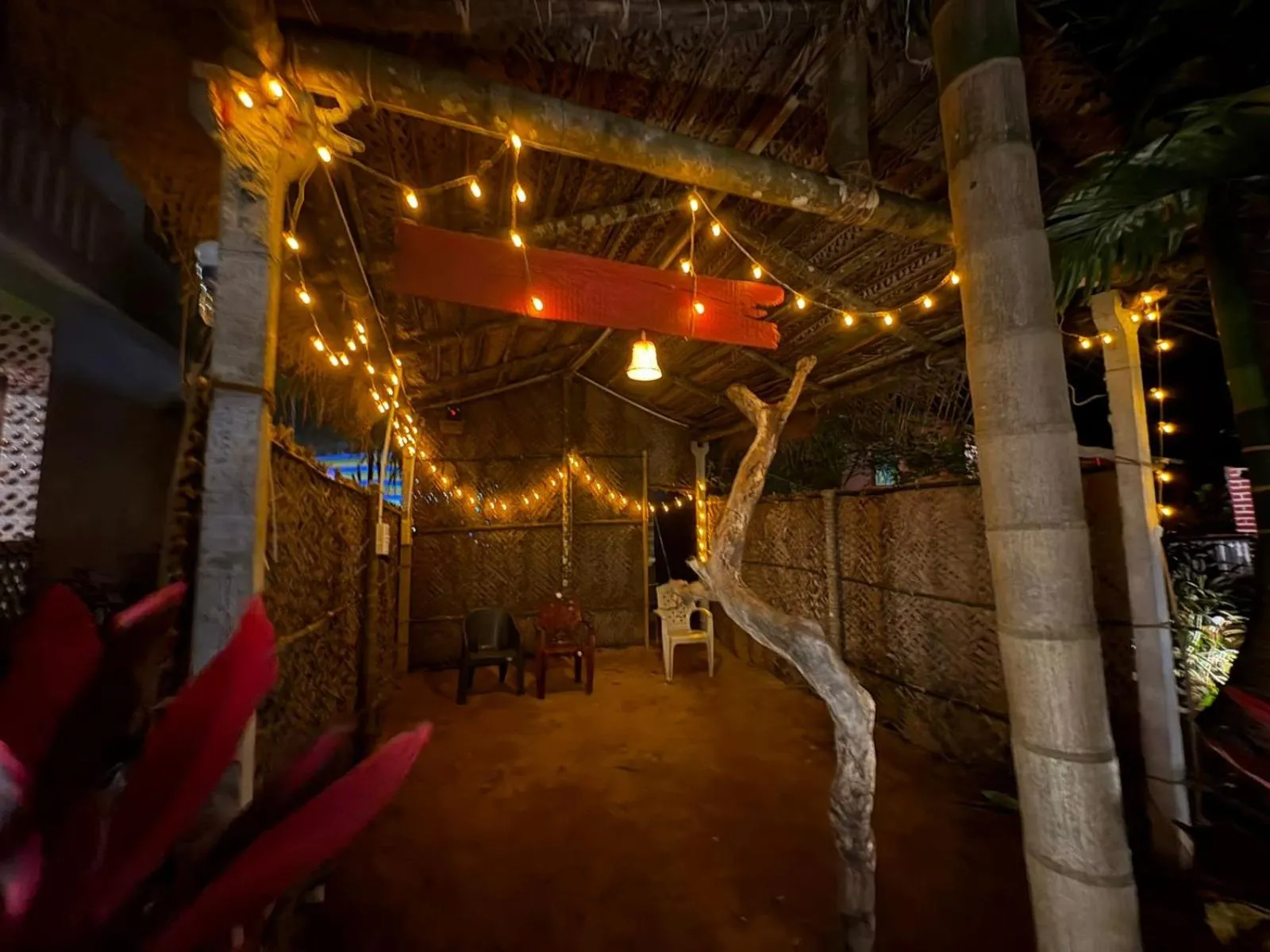 Night in Areca Nest