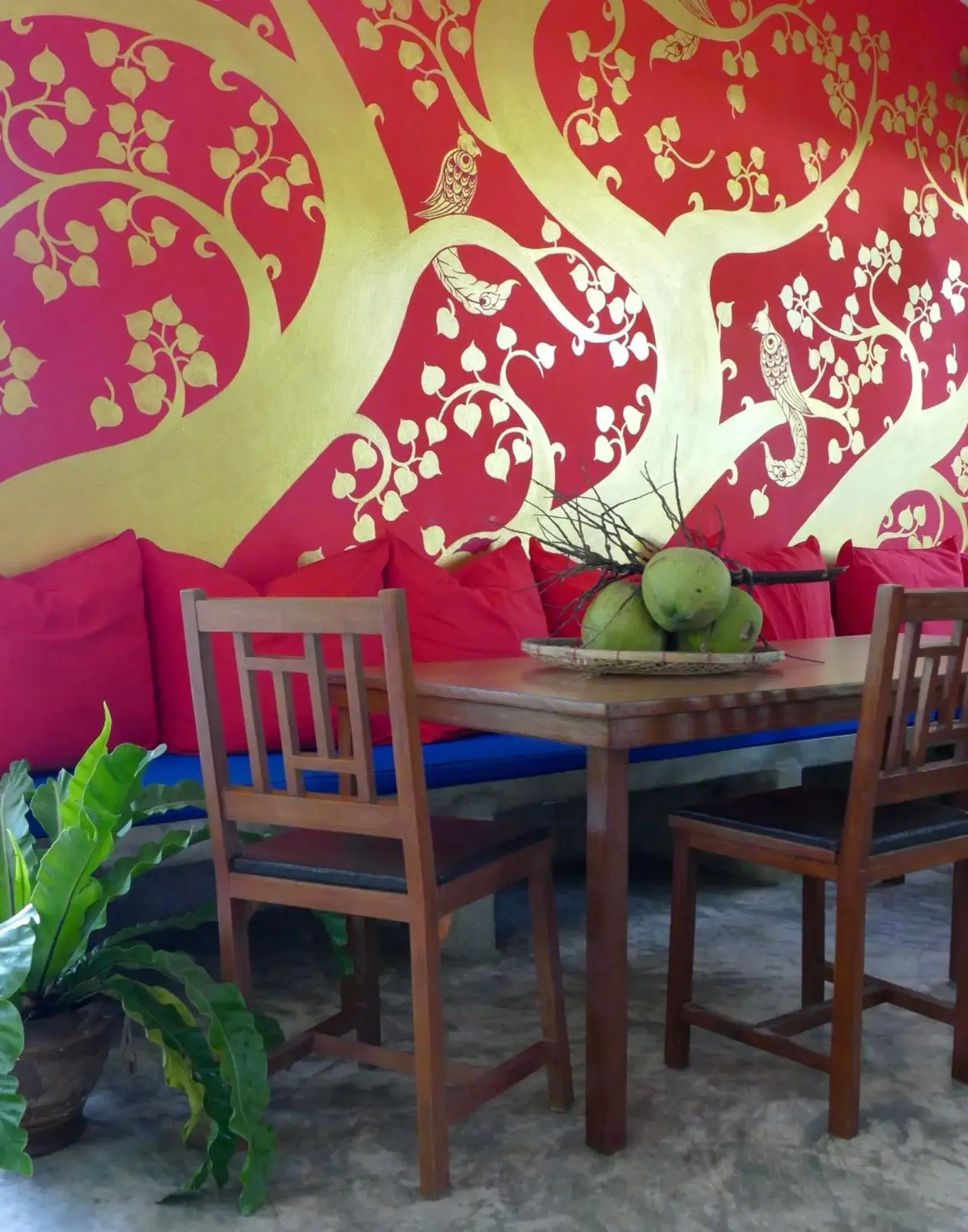 Restaurant/places to eat in Monoceros Resort Restaurant/places to eat in Monoceros Resort