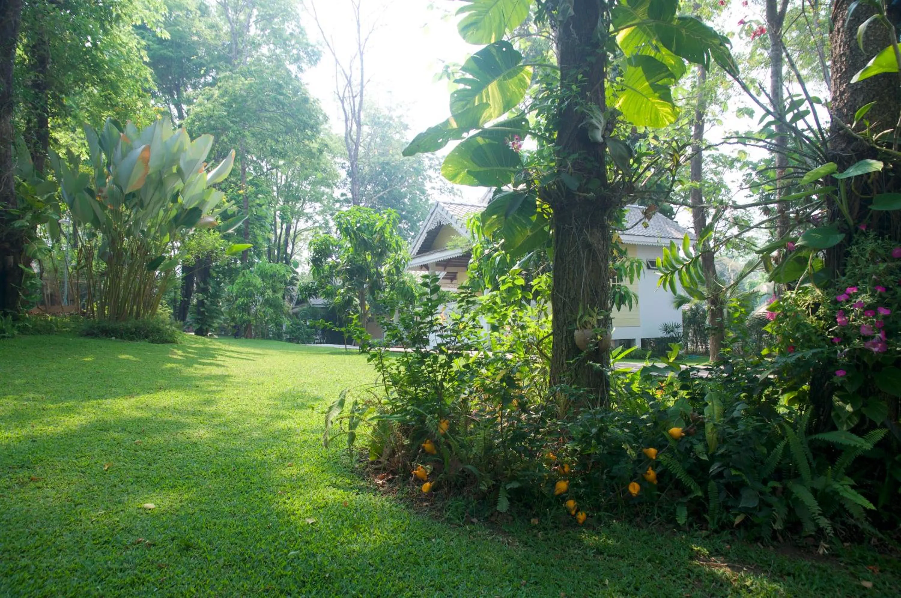 Garden in Monoceros Resort