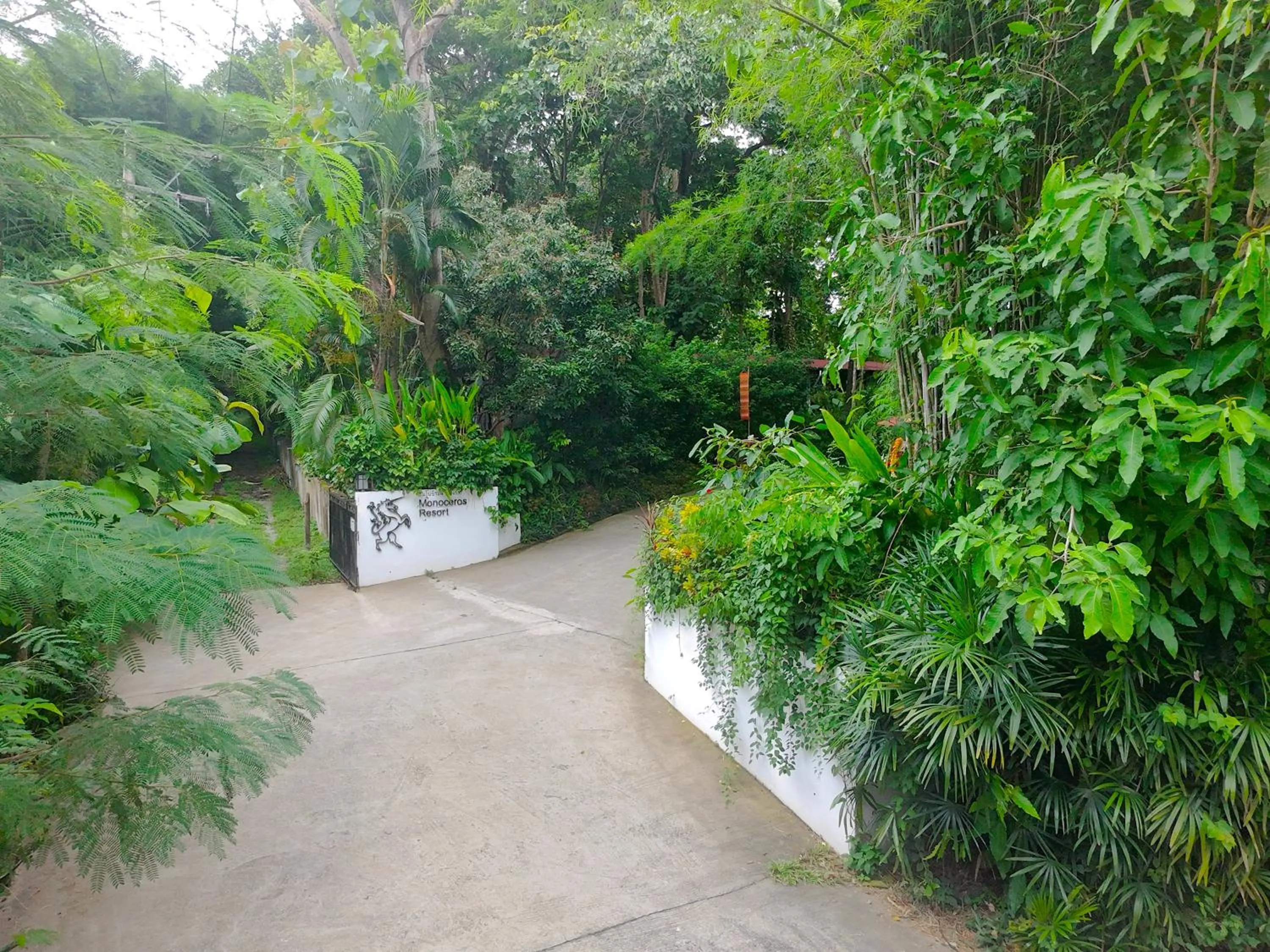 Garden in Monoceros Resort