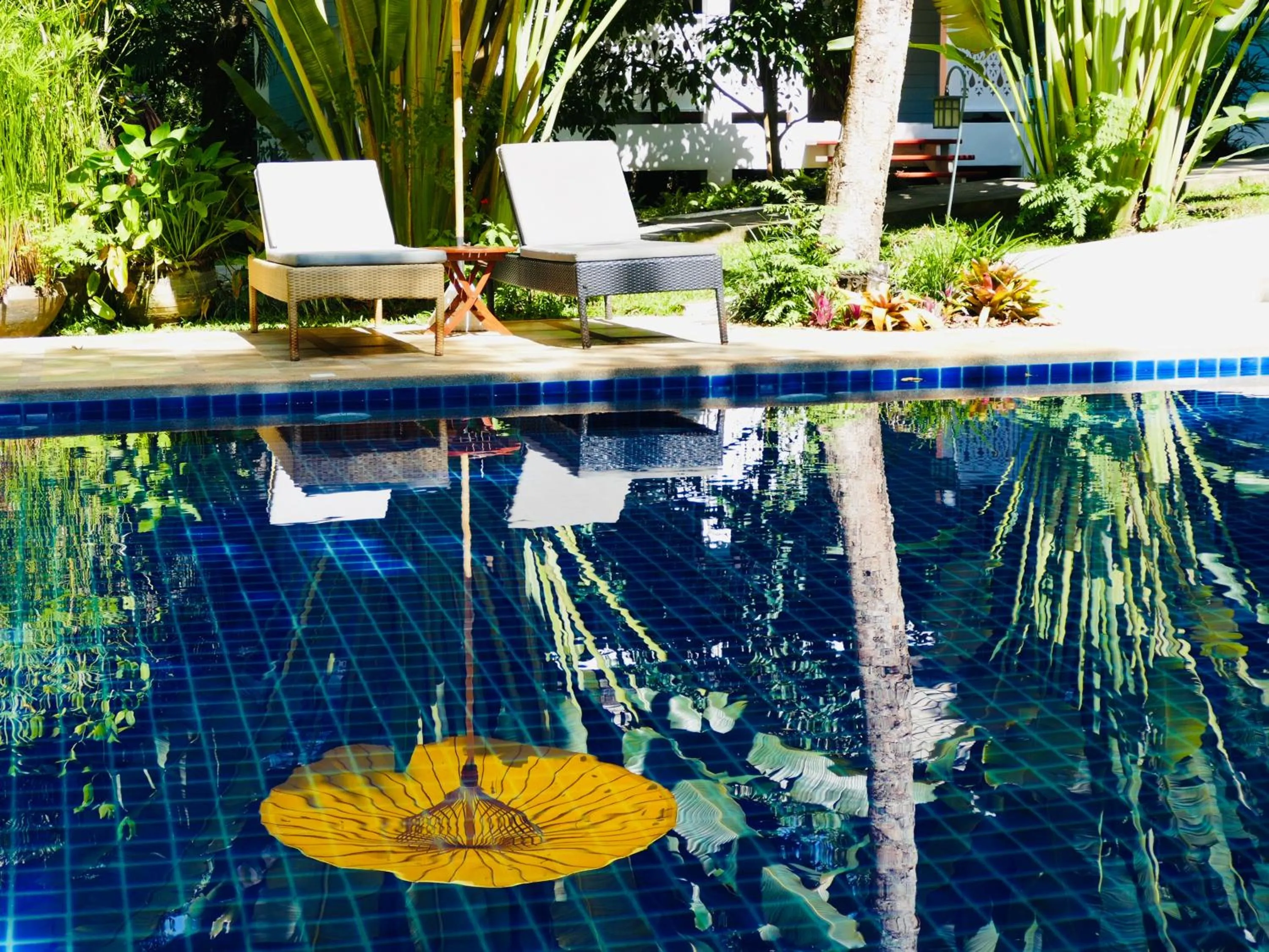 Swimming pool in Monoceros Resort