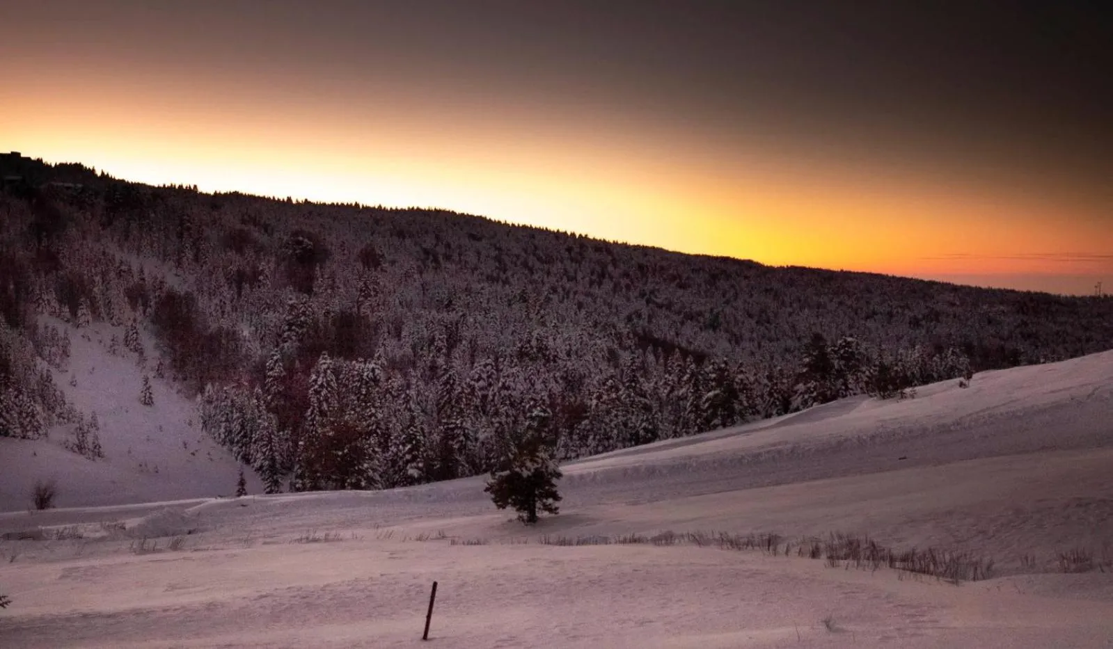 Natural landscape in Ağaoğlu My Mountain