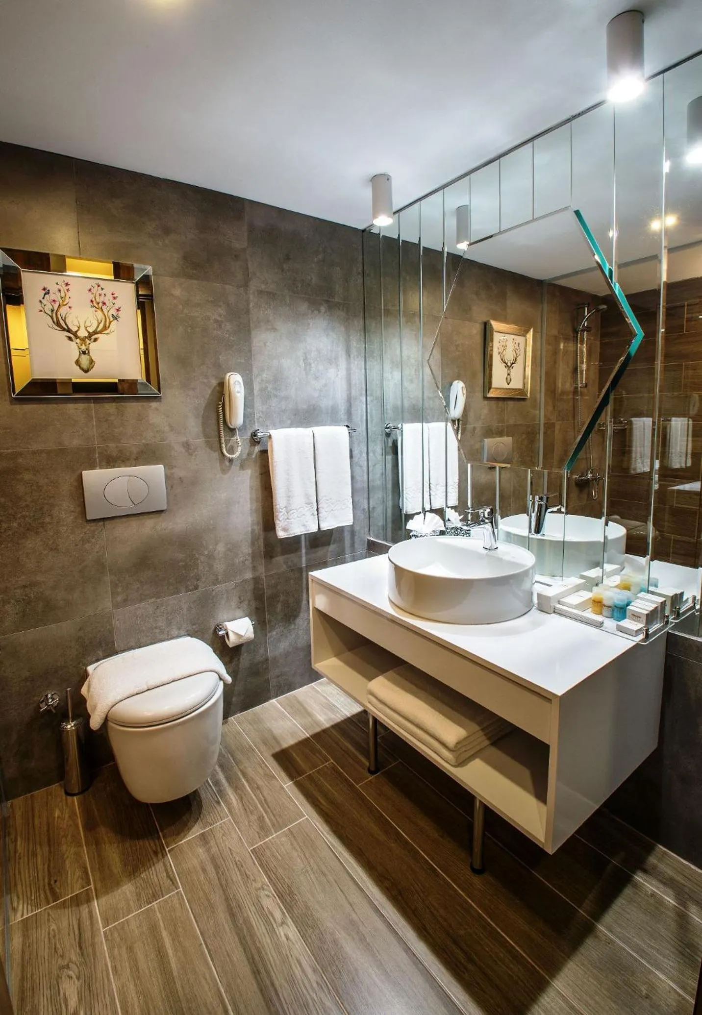 Toilet in Ağaoğlu My Mountain