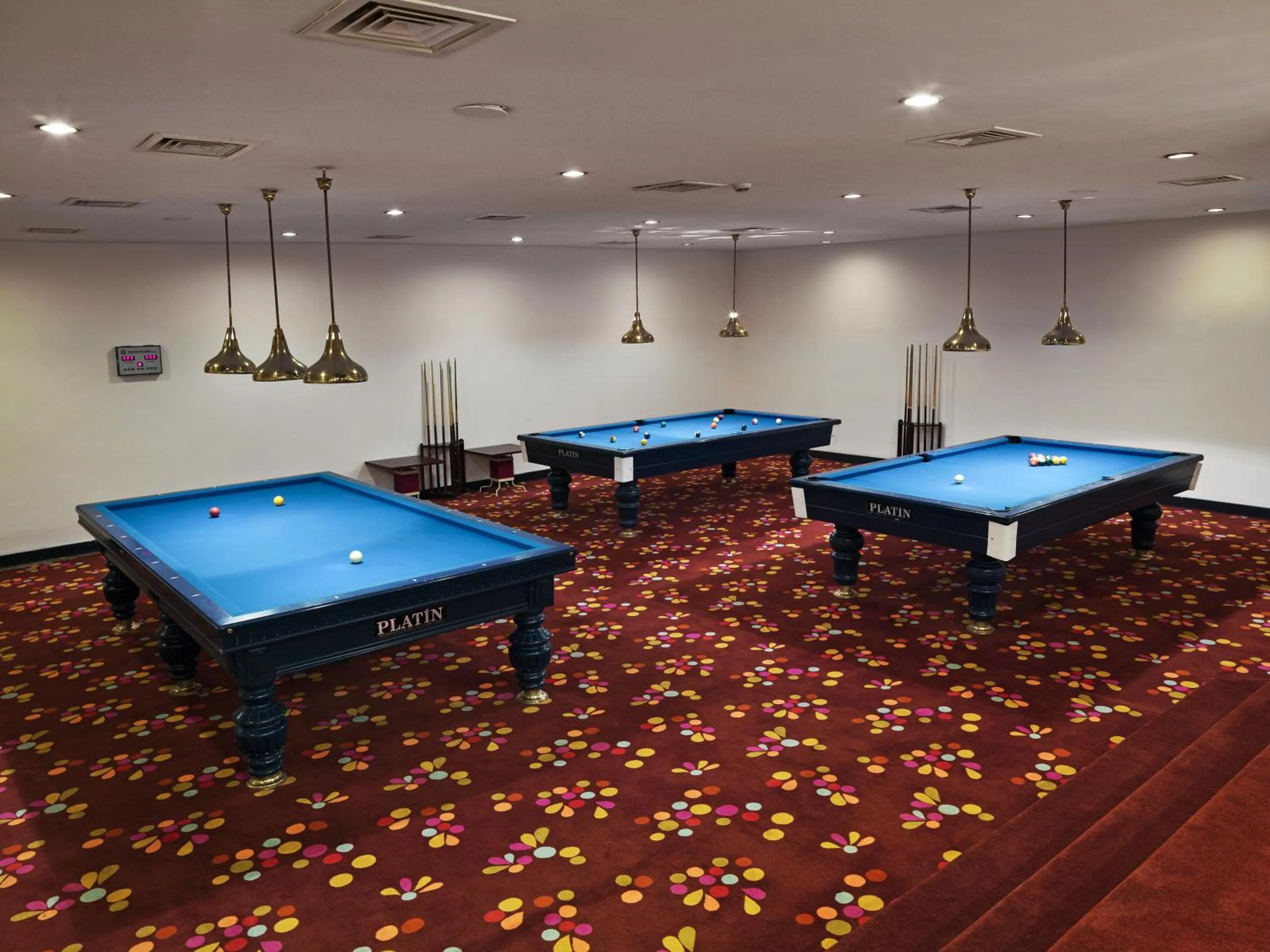 Billiard in Ağaoğlu My Mountain