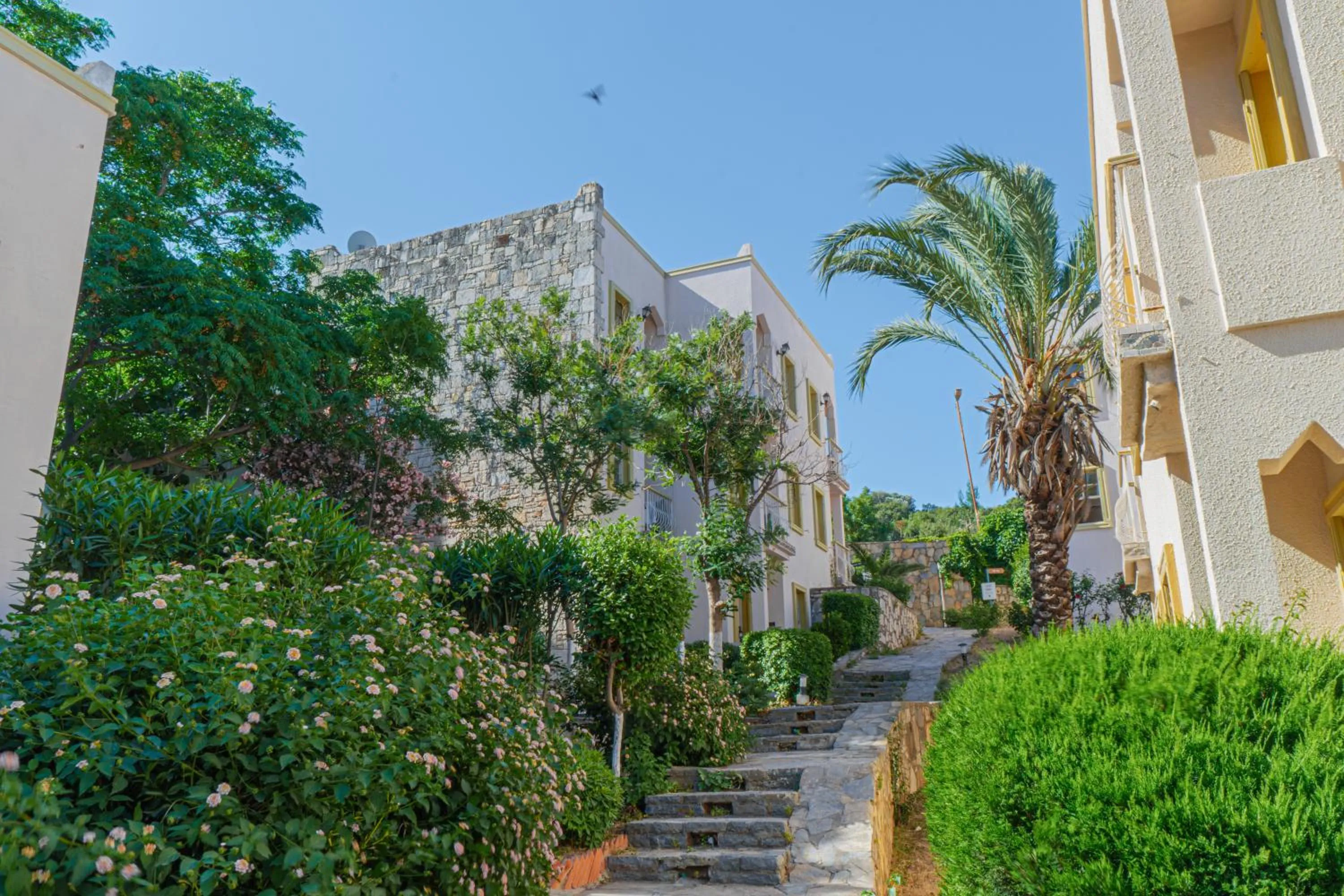 Spring in Alexander The Great Resort & Spa