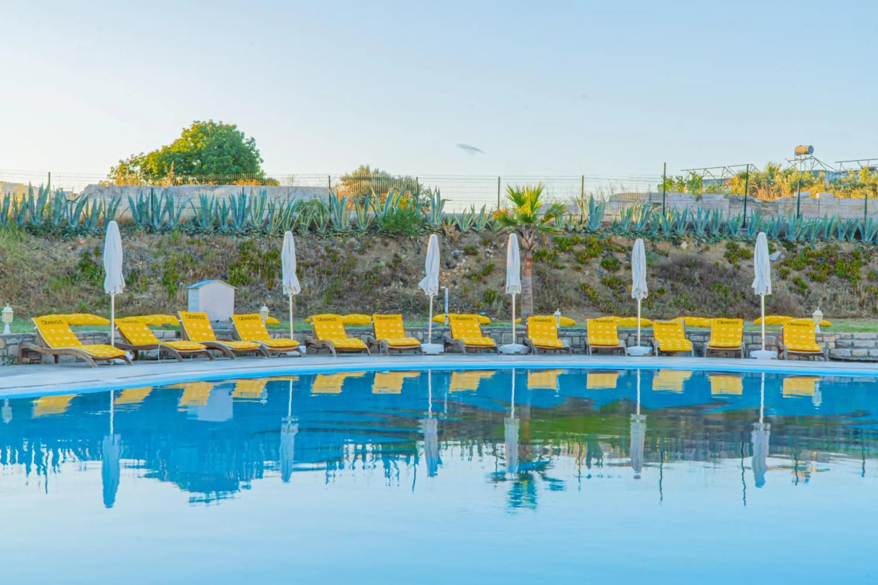 Swimming pool in Alexander The Great Resort & Spa Swimming pool in Alexander The Great Resort & Spa