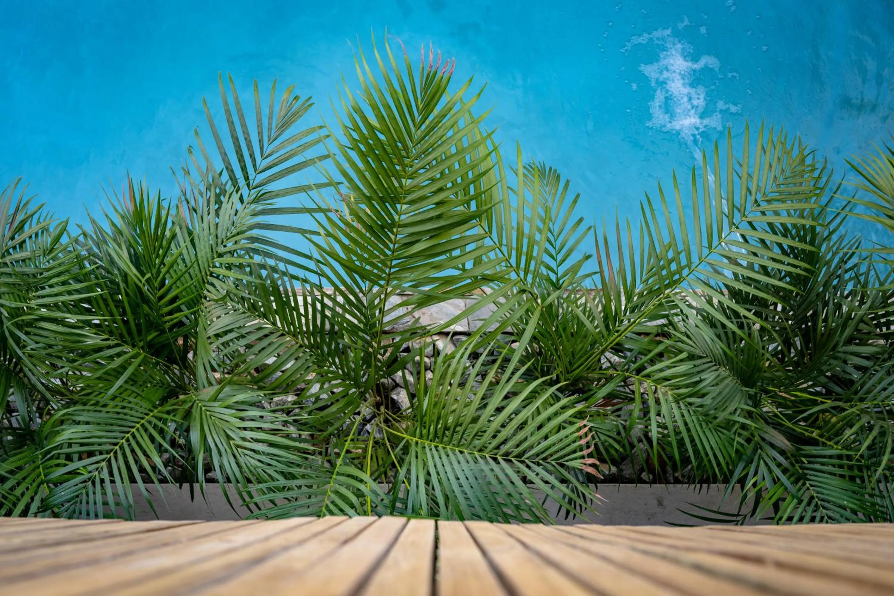 Garden view in Khiwane Boutique Hotel