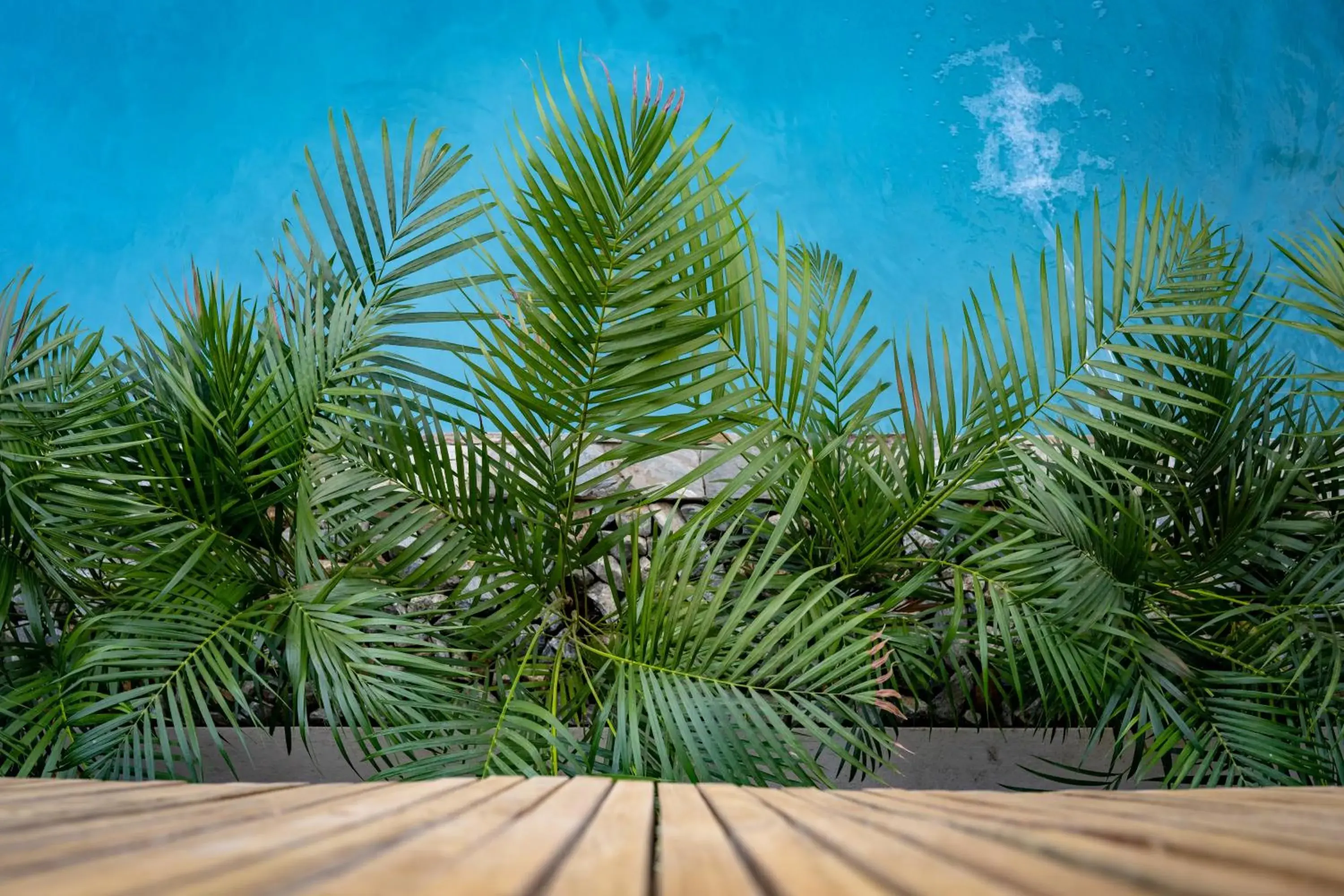 Garden view in Khiwane Boutique Hotel Garden view in Khiwane Boutique Hotel