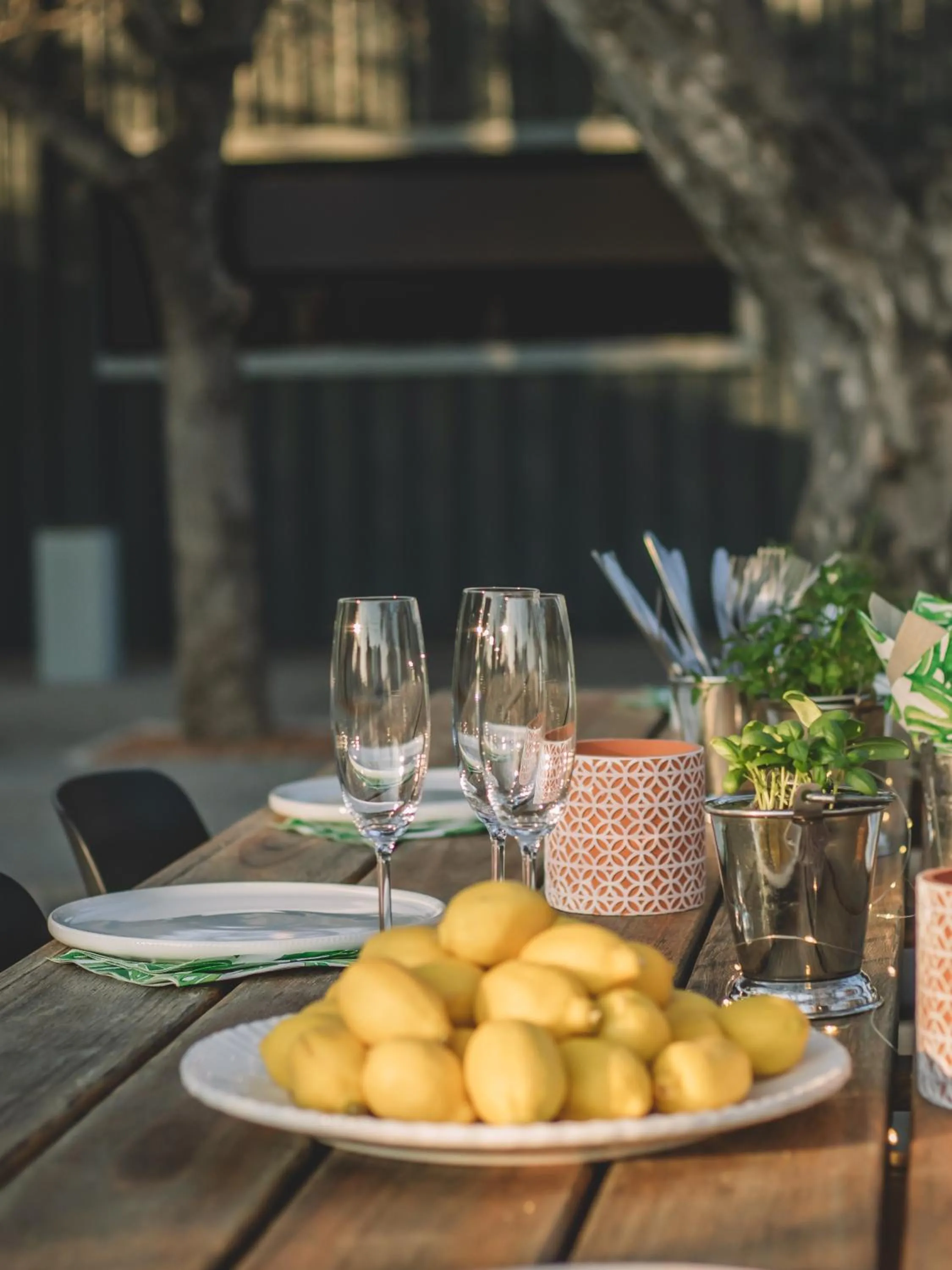 Restaurant/places to eat in Khiwane Boutique Hotel