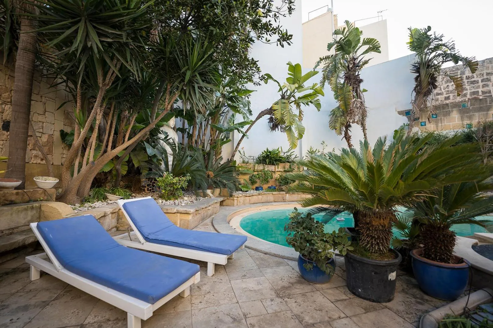 Swimming pool in Villa Buddha