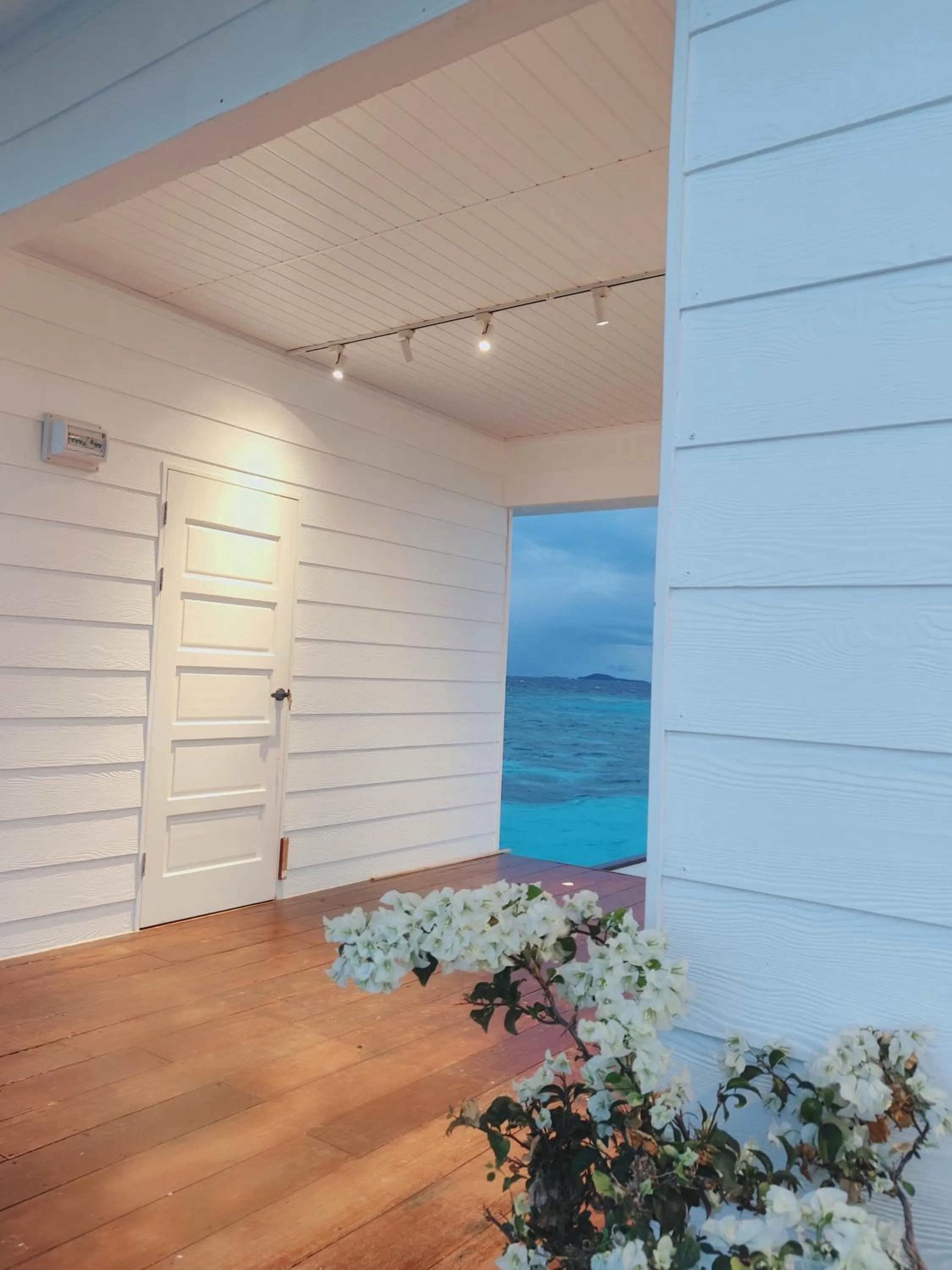 Property building in Bubblefish Water Villa