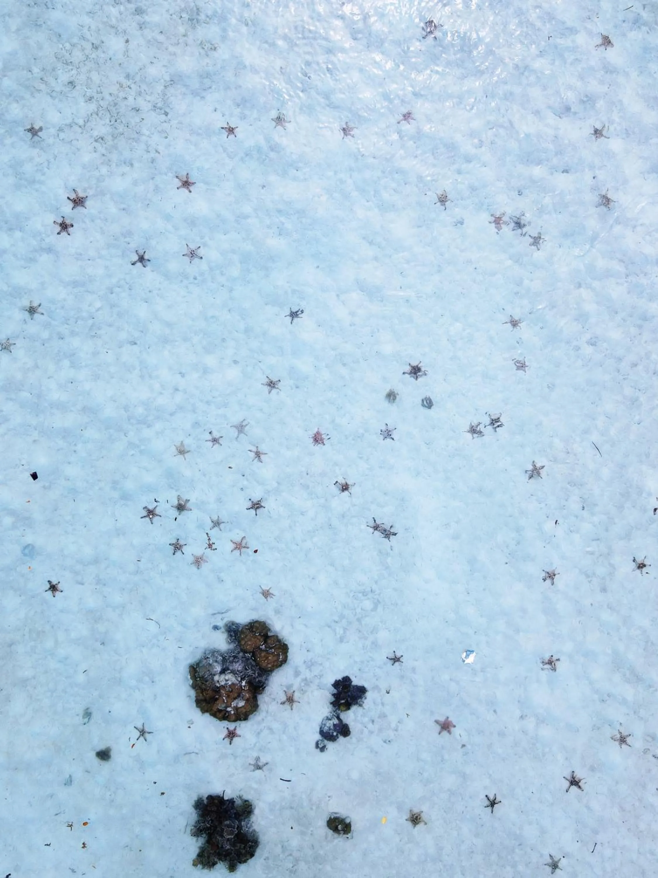 Bubblefish Water Villa