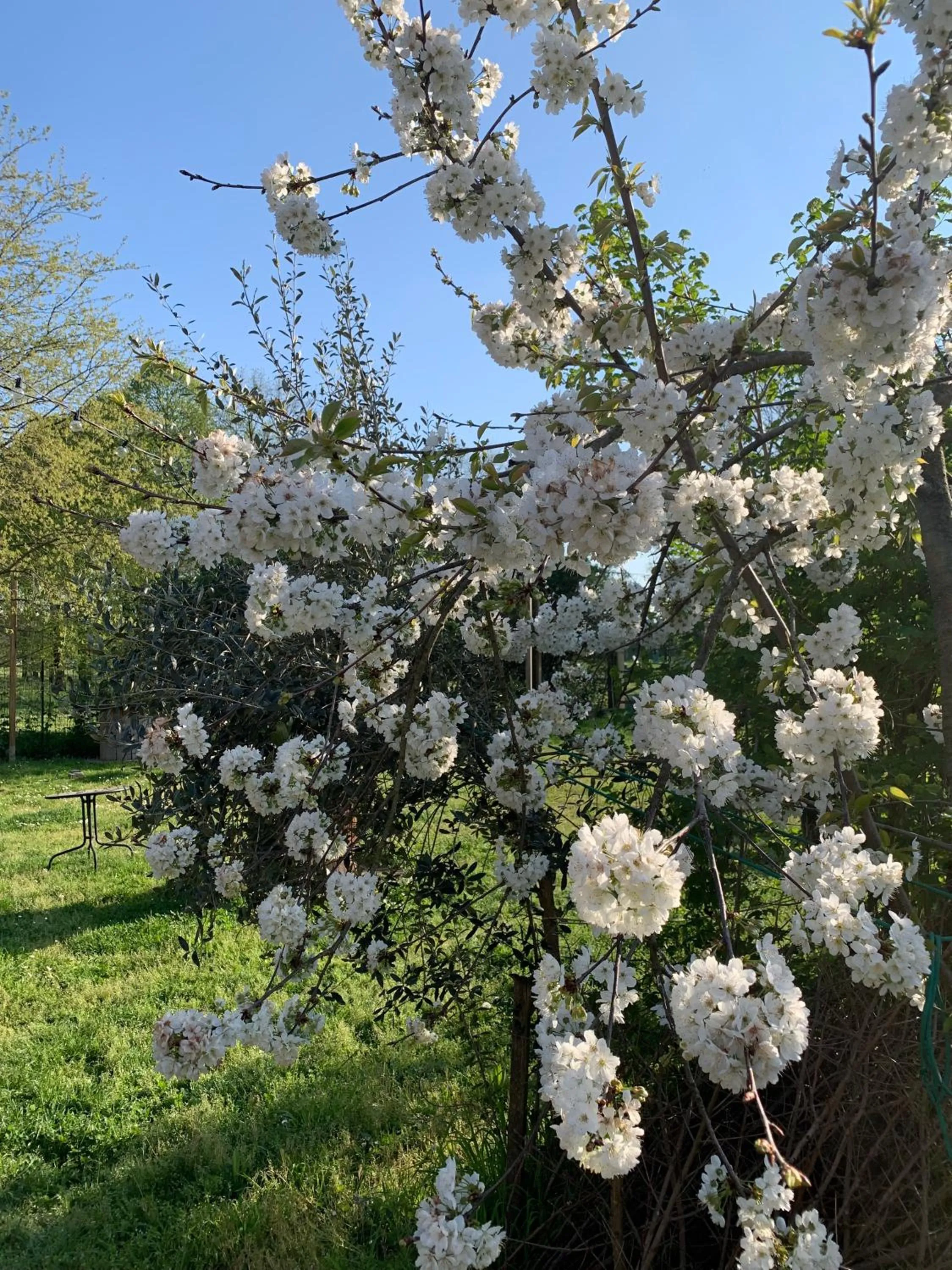 Garden in Cascina Bellaria