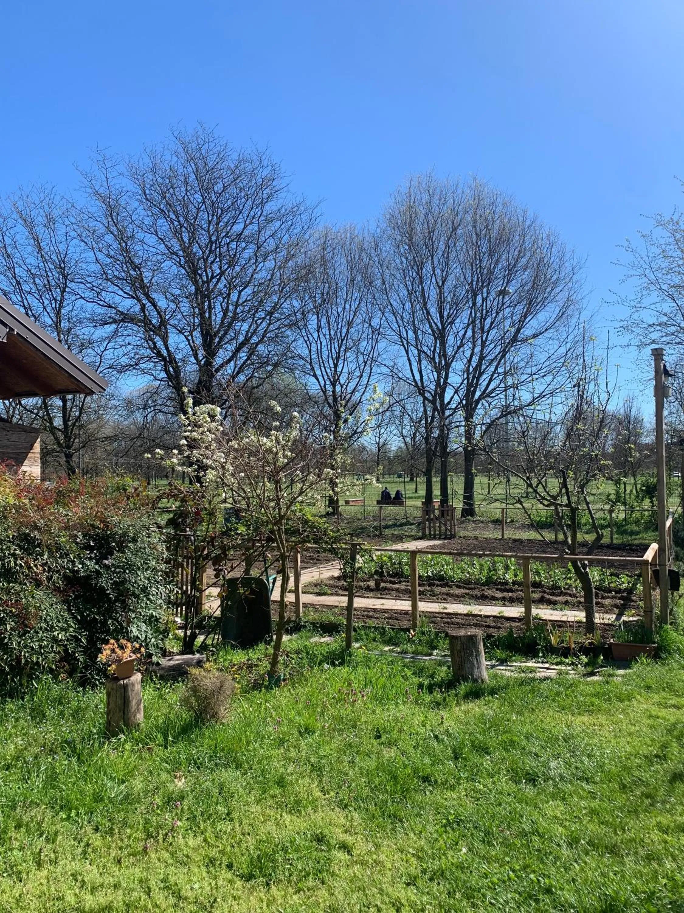 Garden in Cascina Bellaria