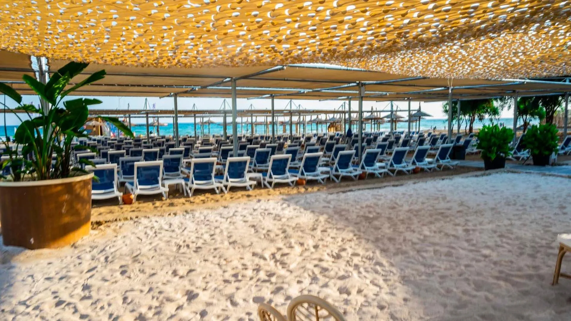 Beach in Dream Water World