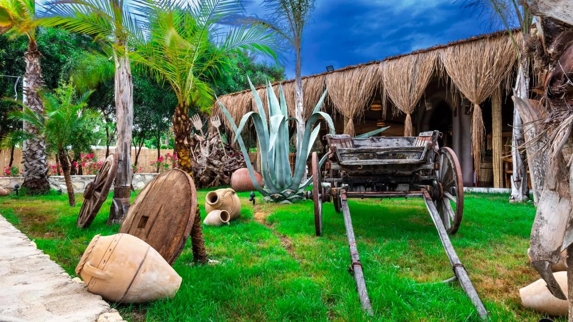 Day in Dream Water World