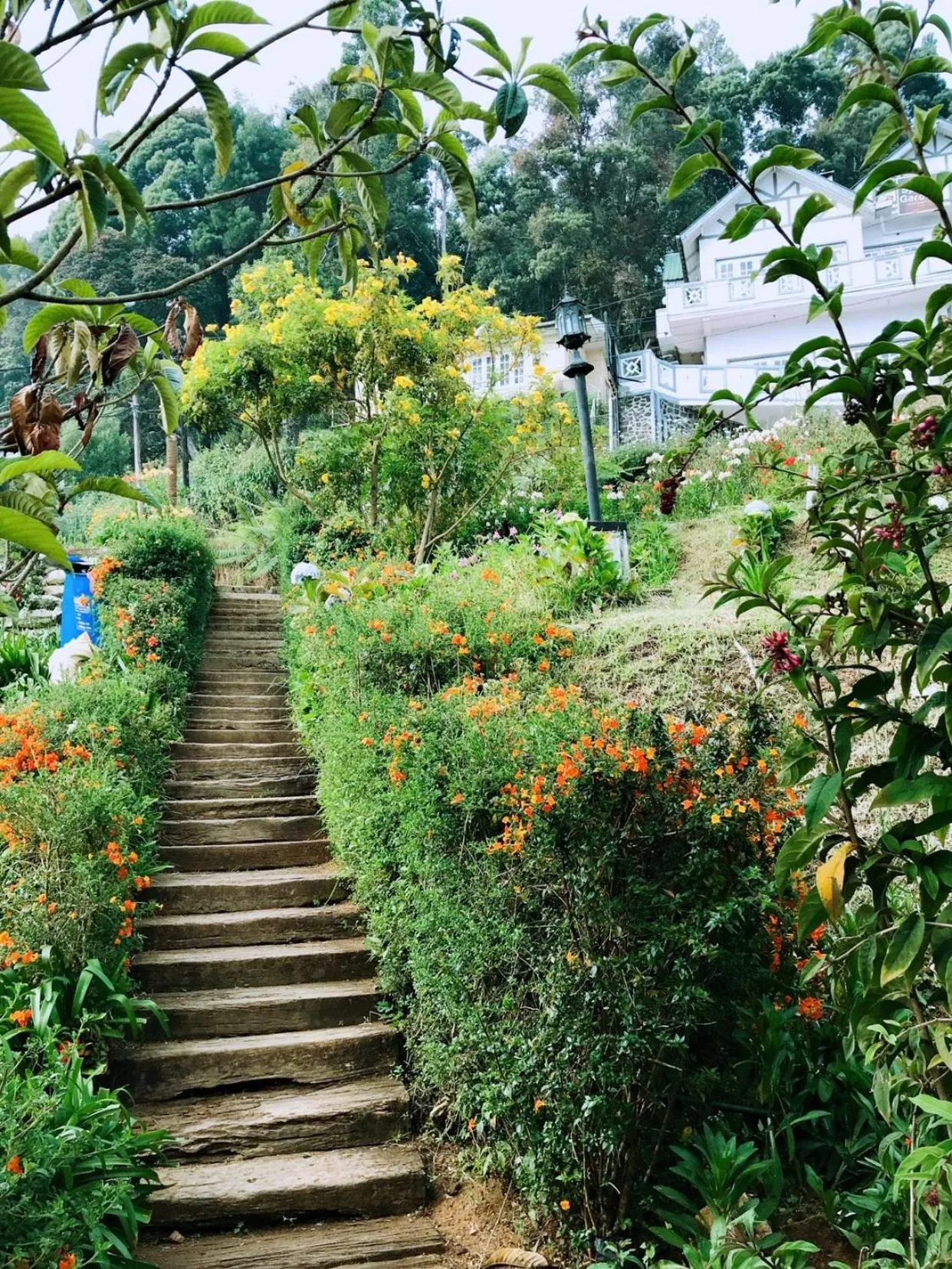 Garden view in Sherwood Cottage