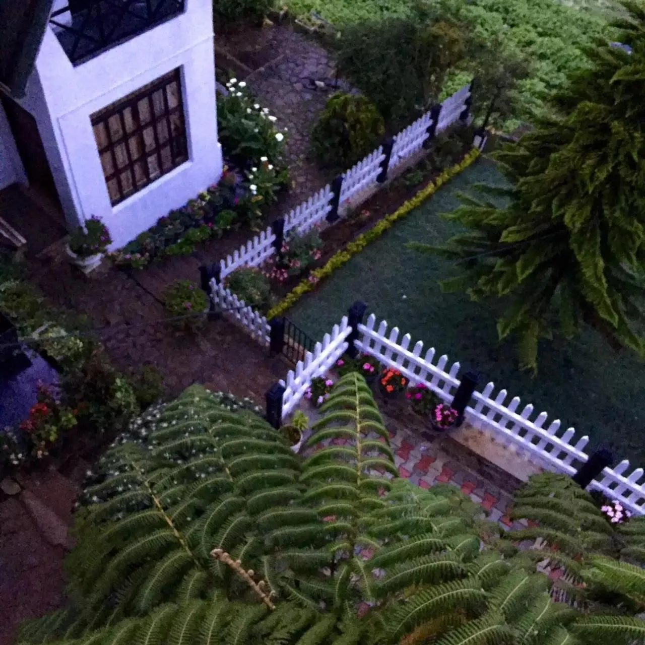 Bird's eye view in Sherwood Cottage