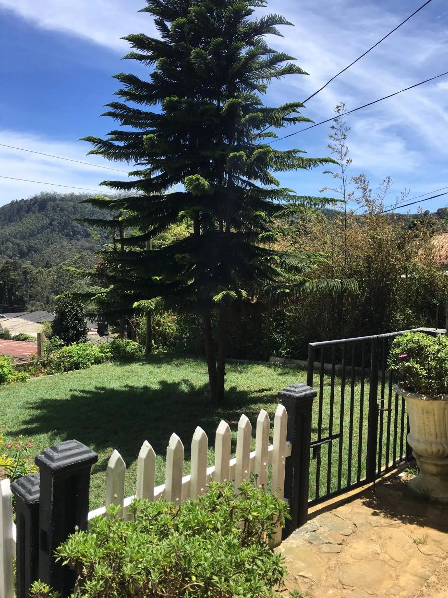 Garden in Sherwood Cottage
