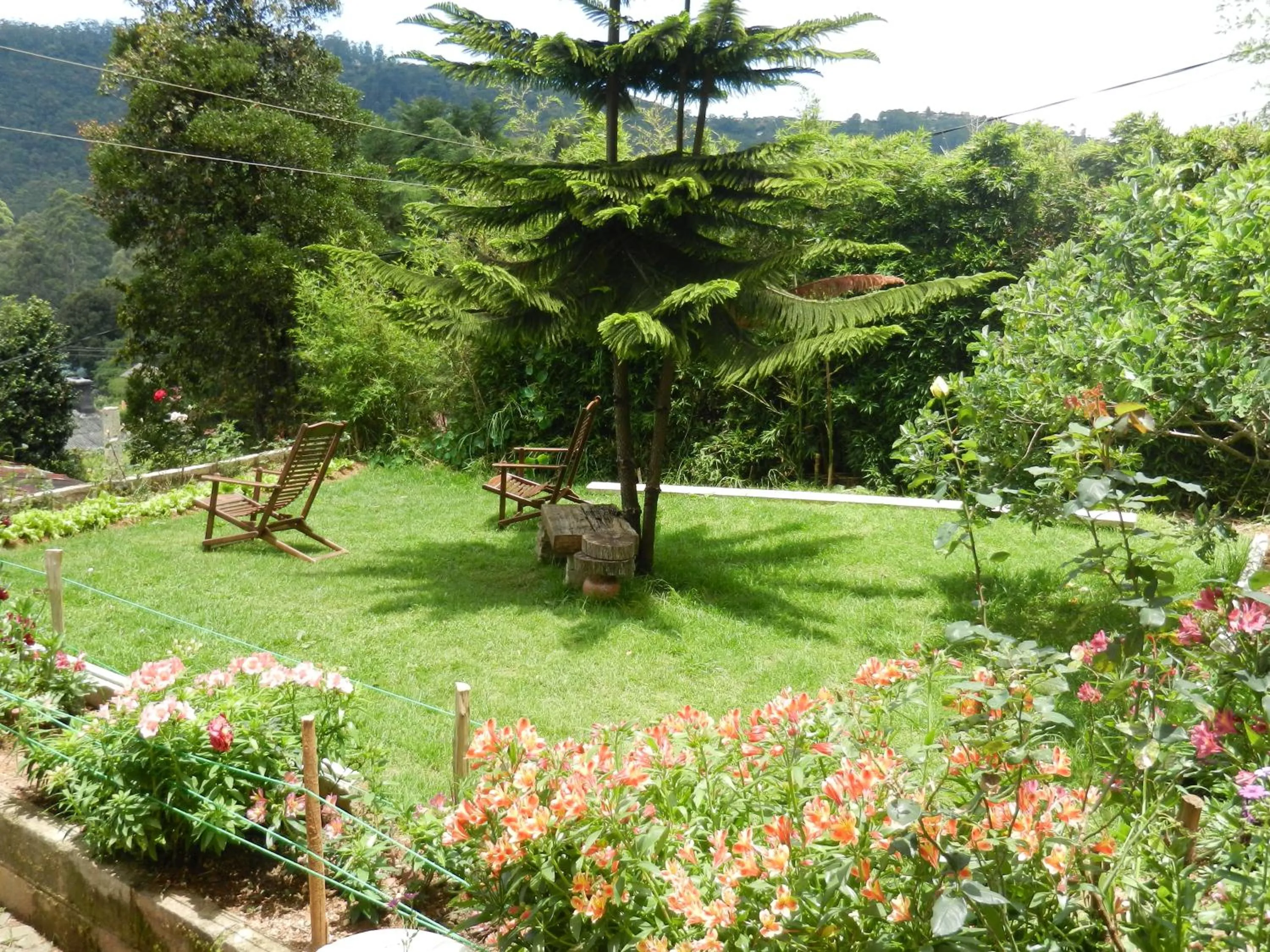 Day in Sherwood Cottage