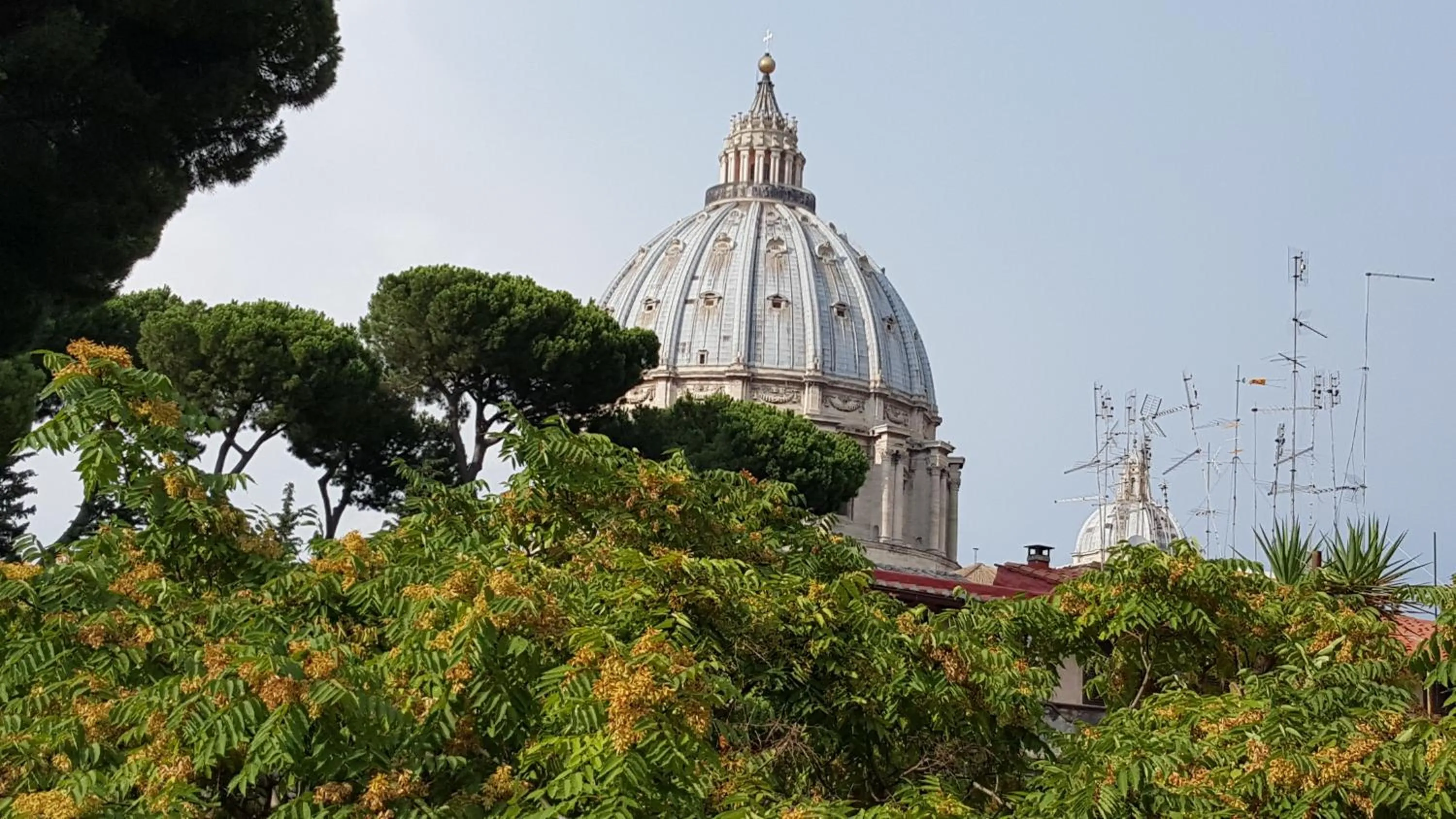 Pope's bridge