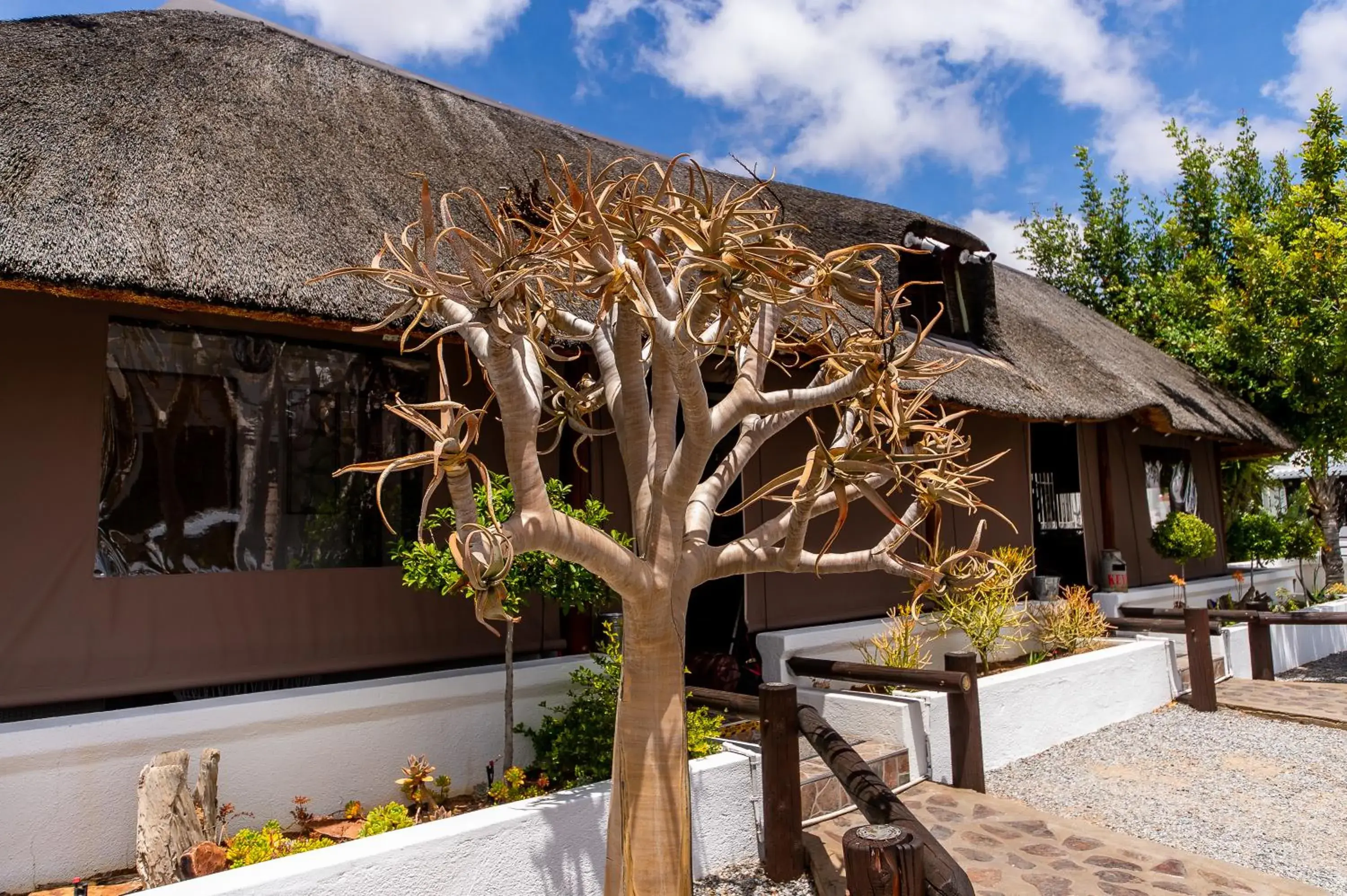 Kleinplasie Guesthouse Kleinplasie Guesthouse