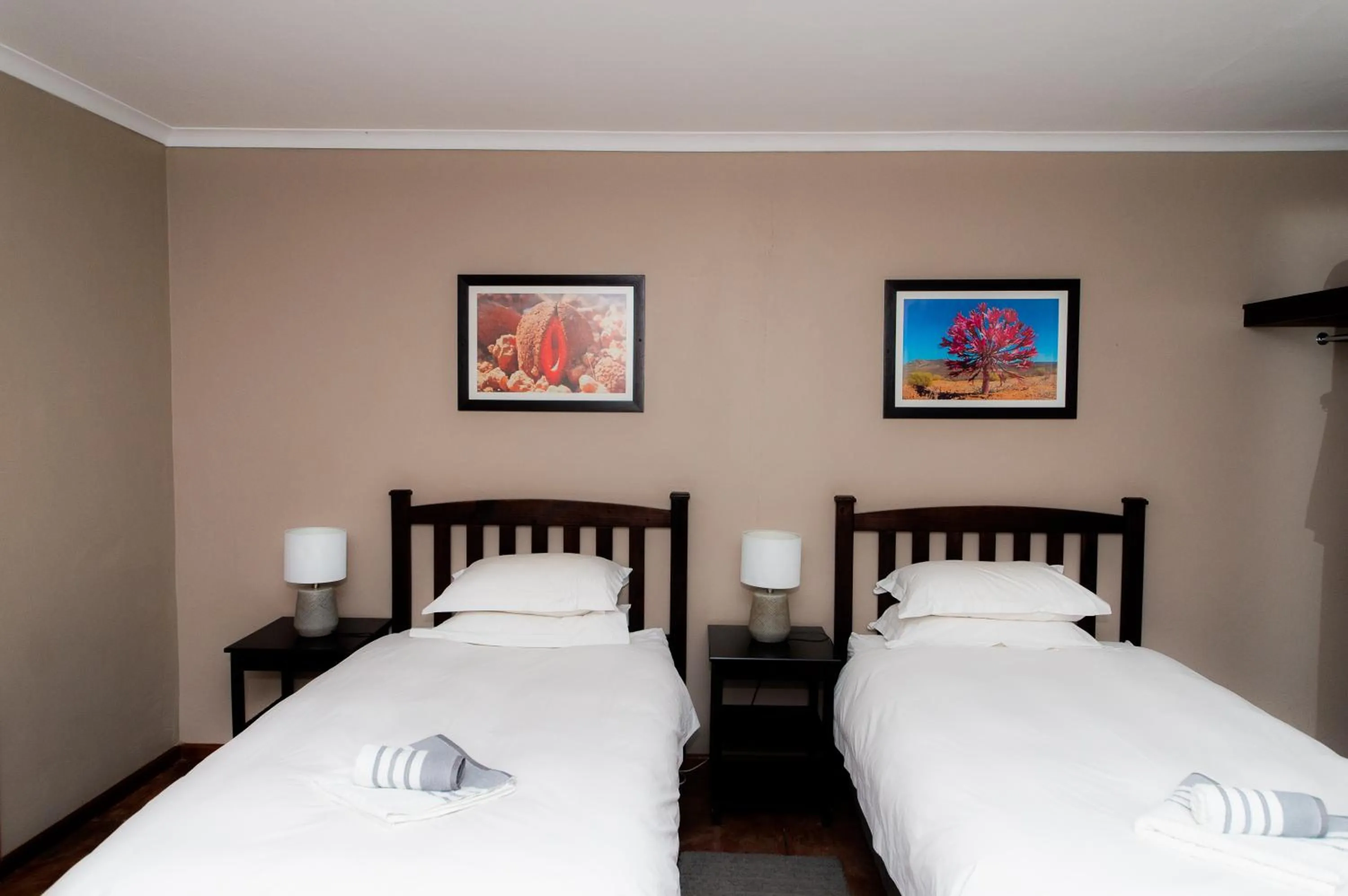 Standard Twin Room in Kleinplasie Guesthouse