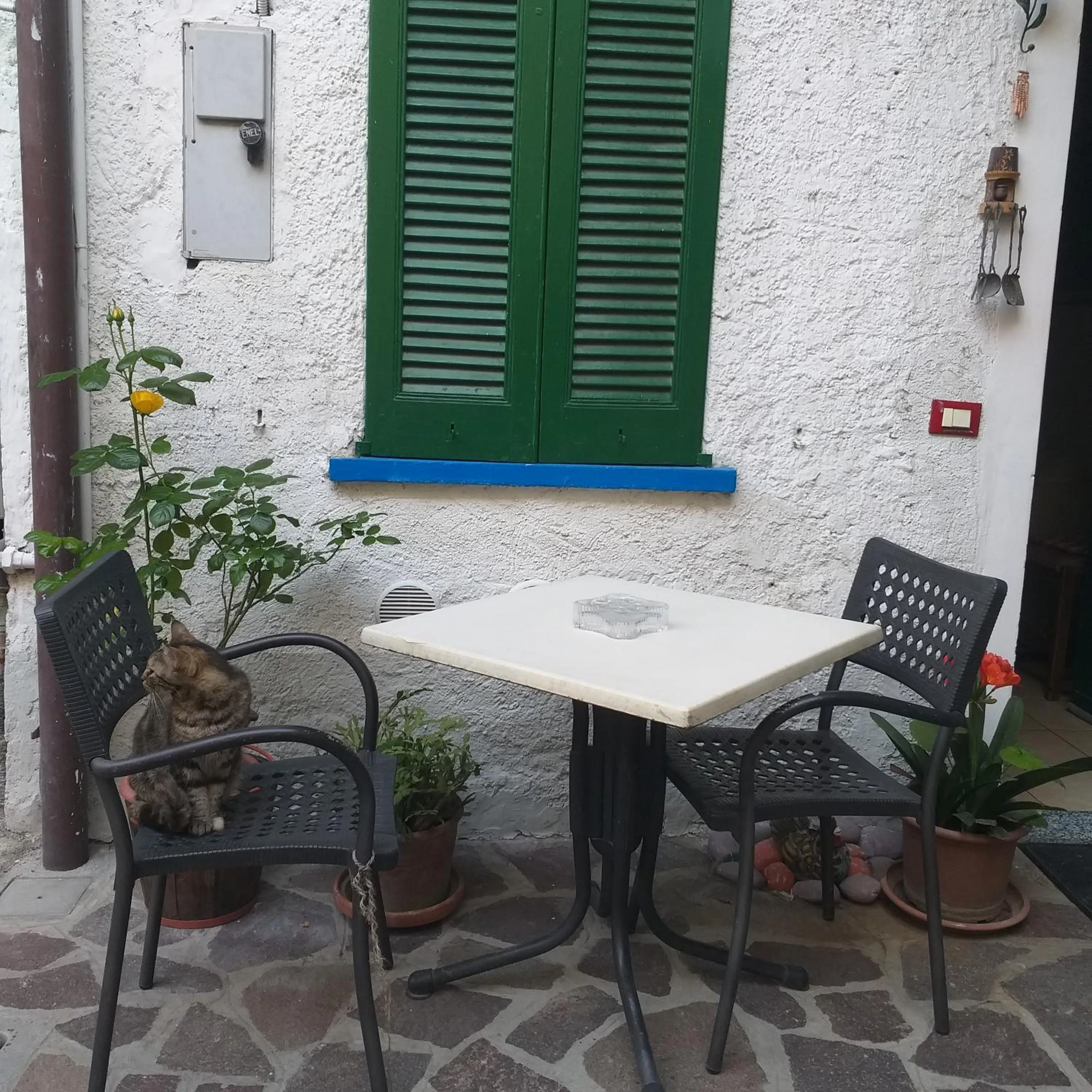 B&B Mirna - Piccolo Appartamento