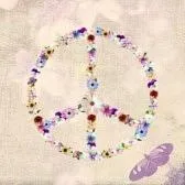 B&B Mirna - Piccolo Appartamento