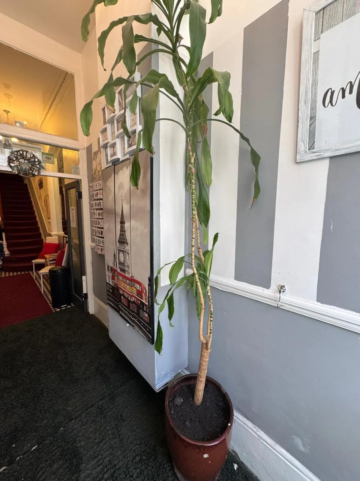 Lobby or reception in Anwar House